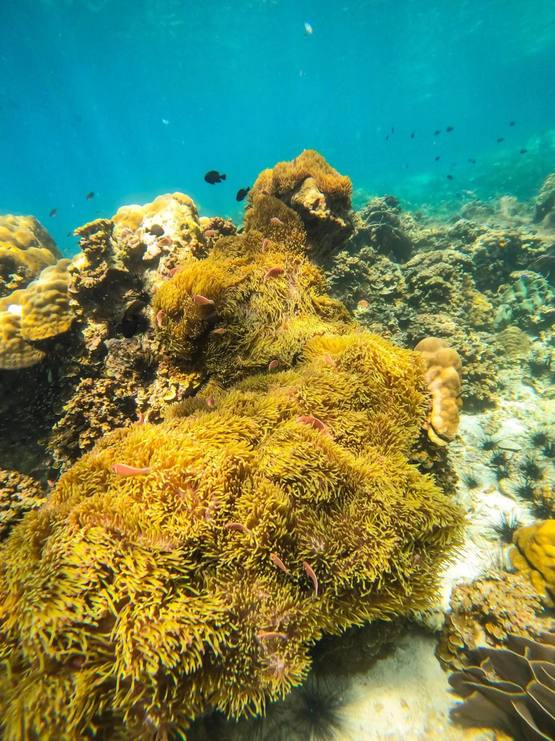 Kooncharaburi Resort - Koh Chang