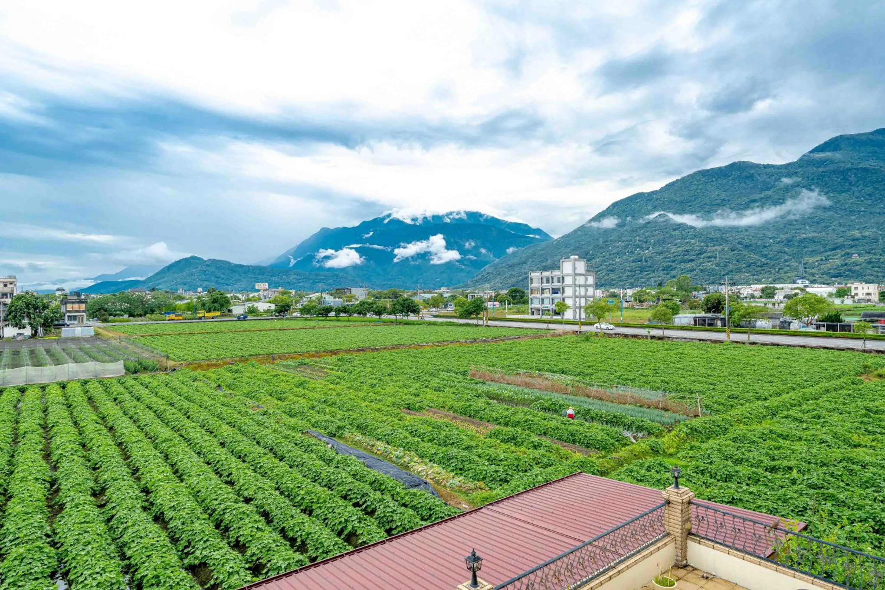 Natural landscape in Evergreen Garden House