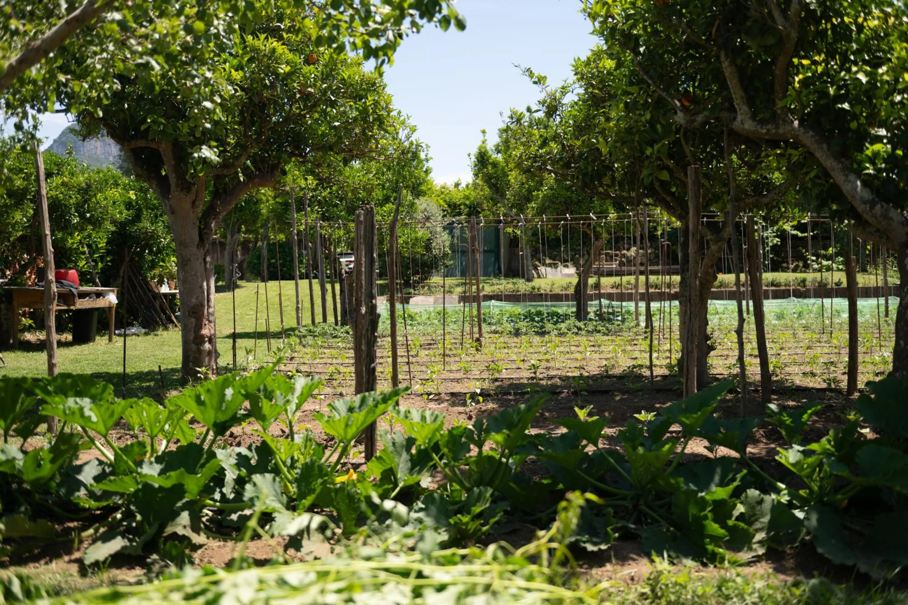 1912 Relais - Sorrento Coast