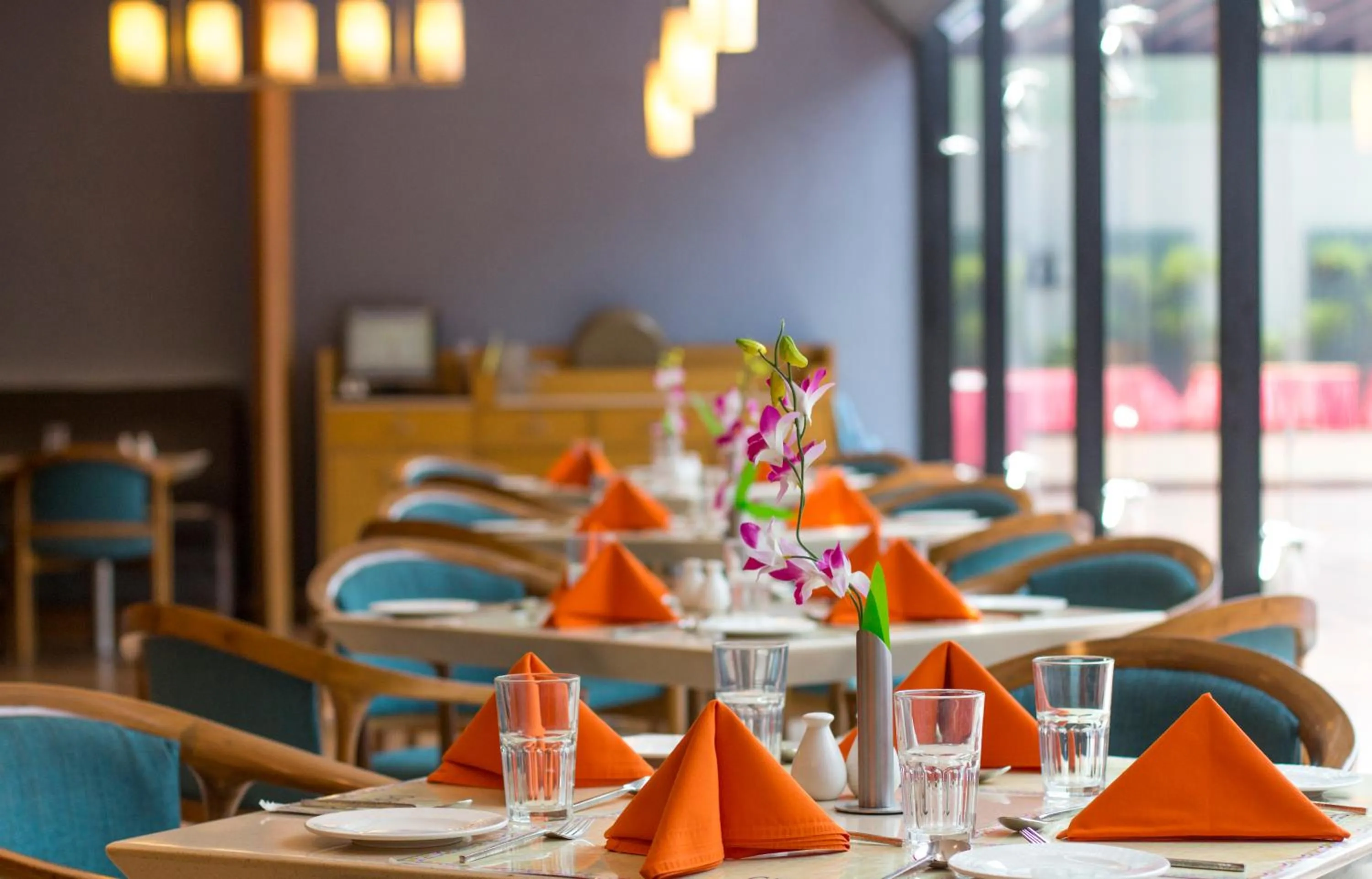 Restaurant/places to eat in Dolphin Hotel