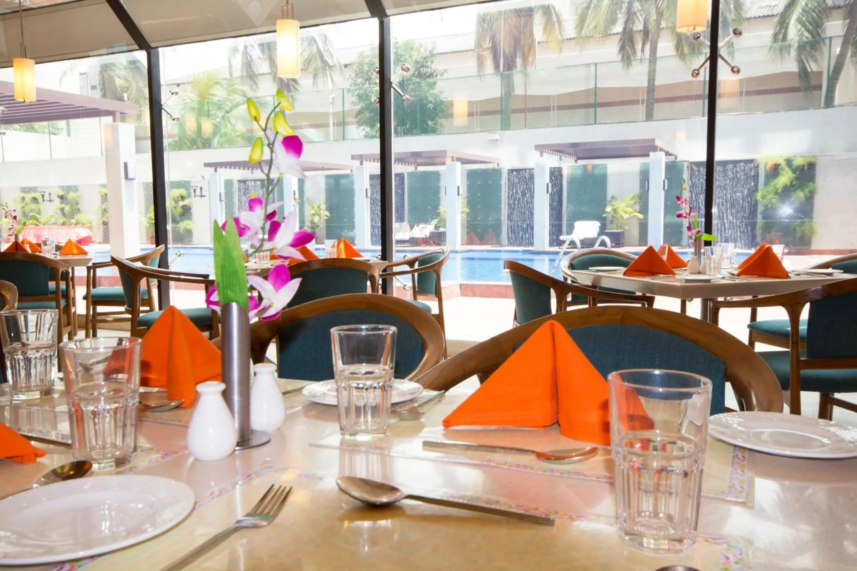 Restaurant/places to eat in Dolphin Hotel