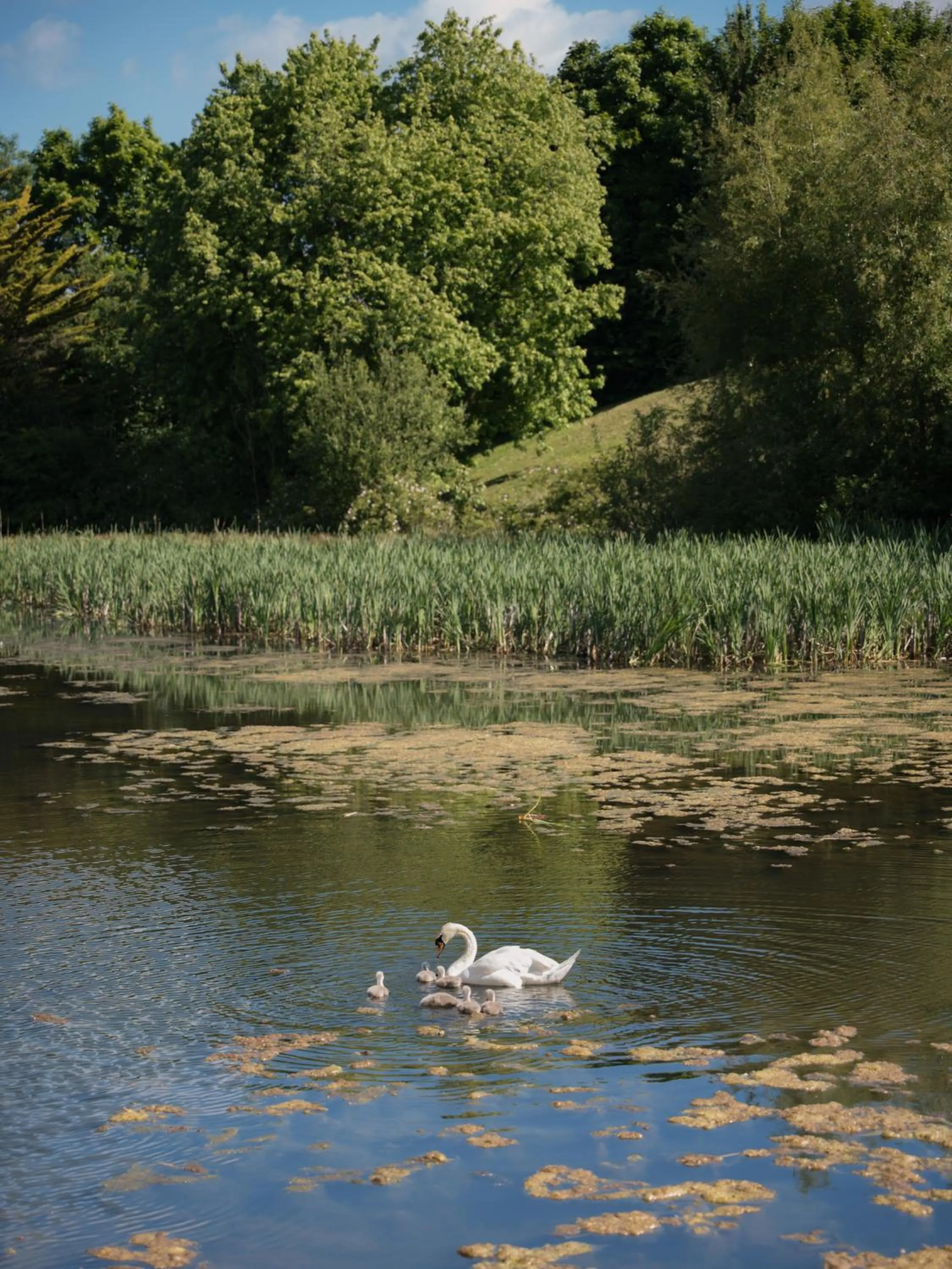 On site in The Copthorne Hotel Cardiff
