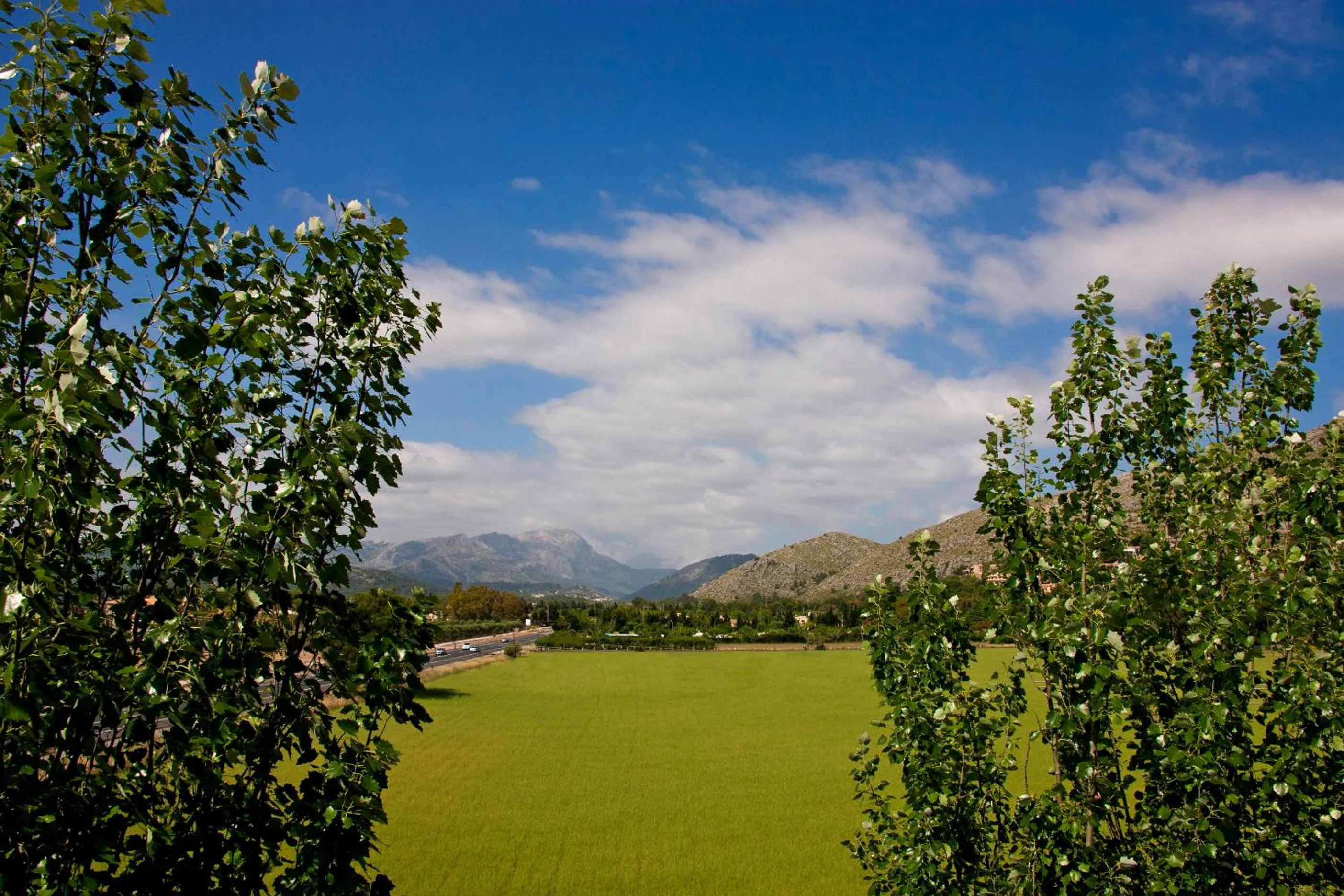 Landmark view in Duvabitat Apartments