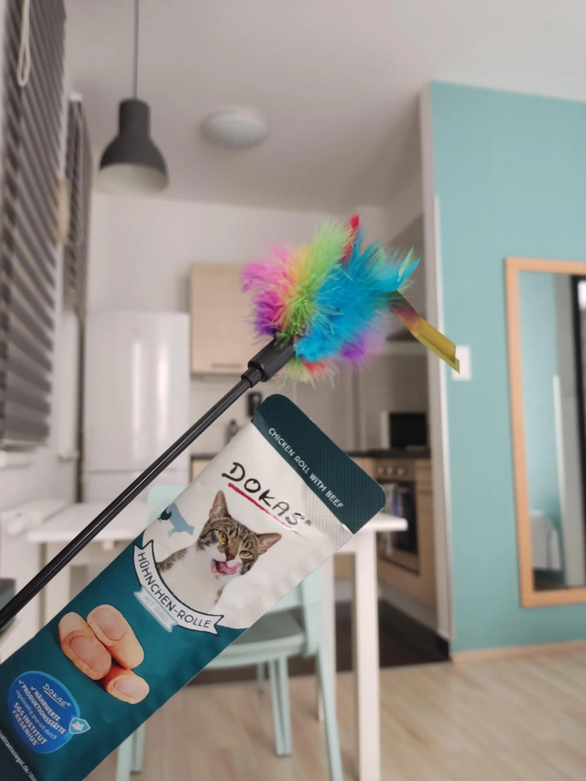 Pets in Corvin Center Suites