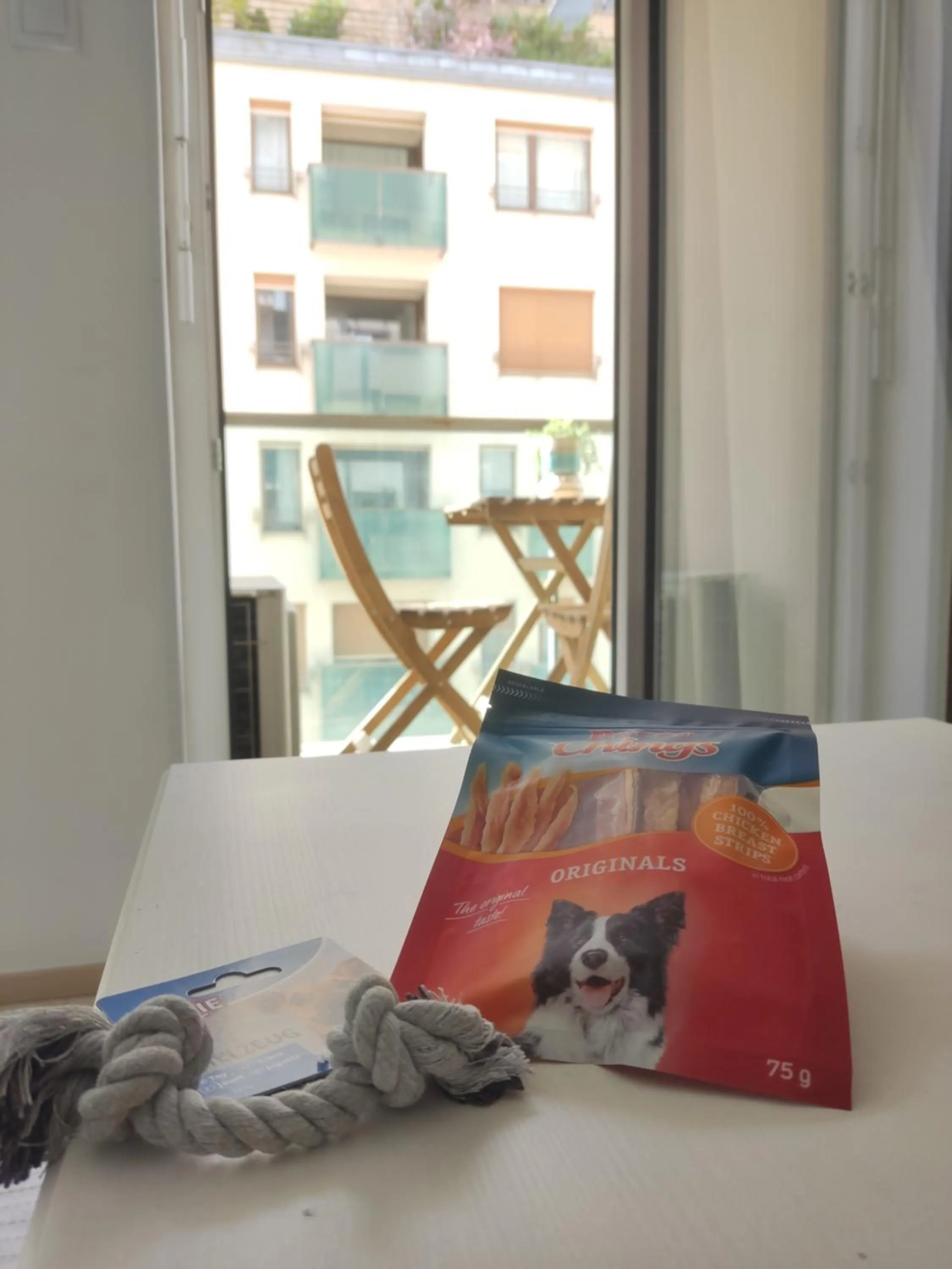 Pets, Bed in Corvin Center Suites