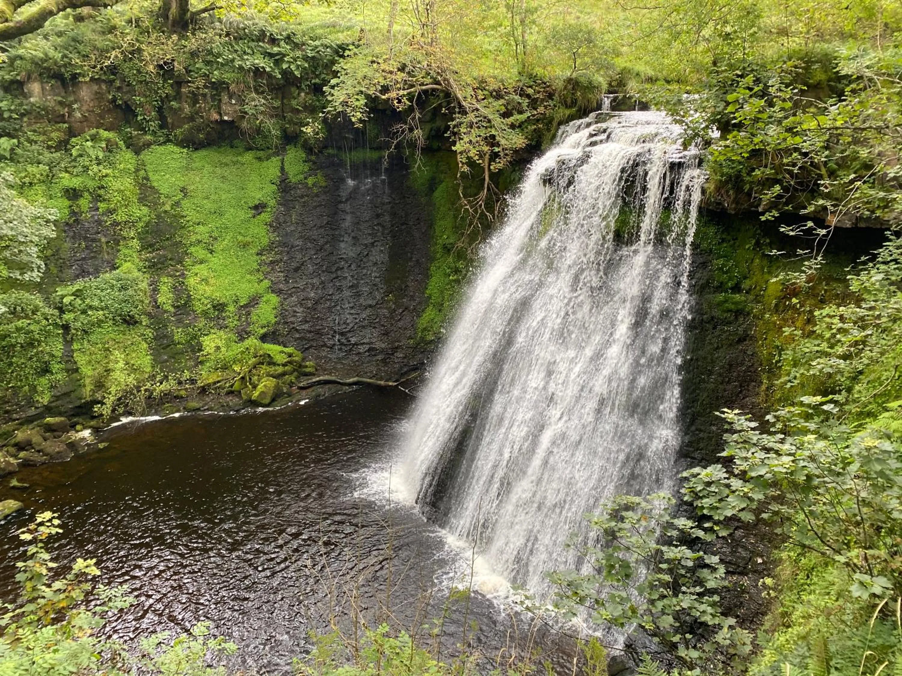 Area and facilities in The Fountain Hotel