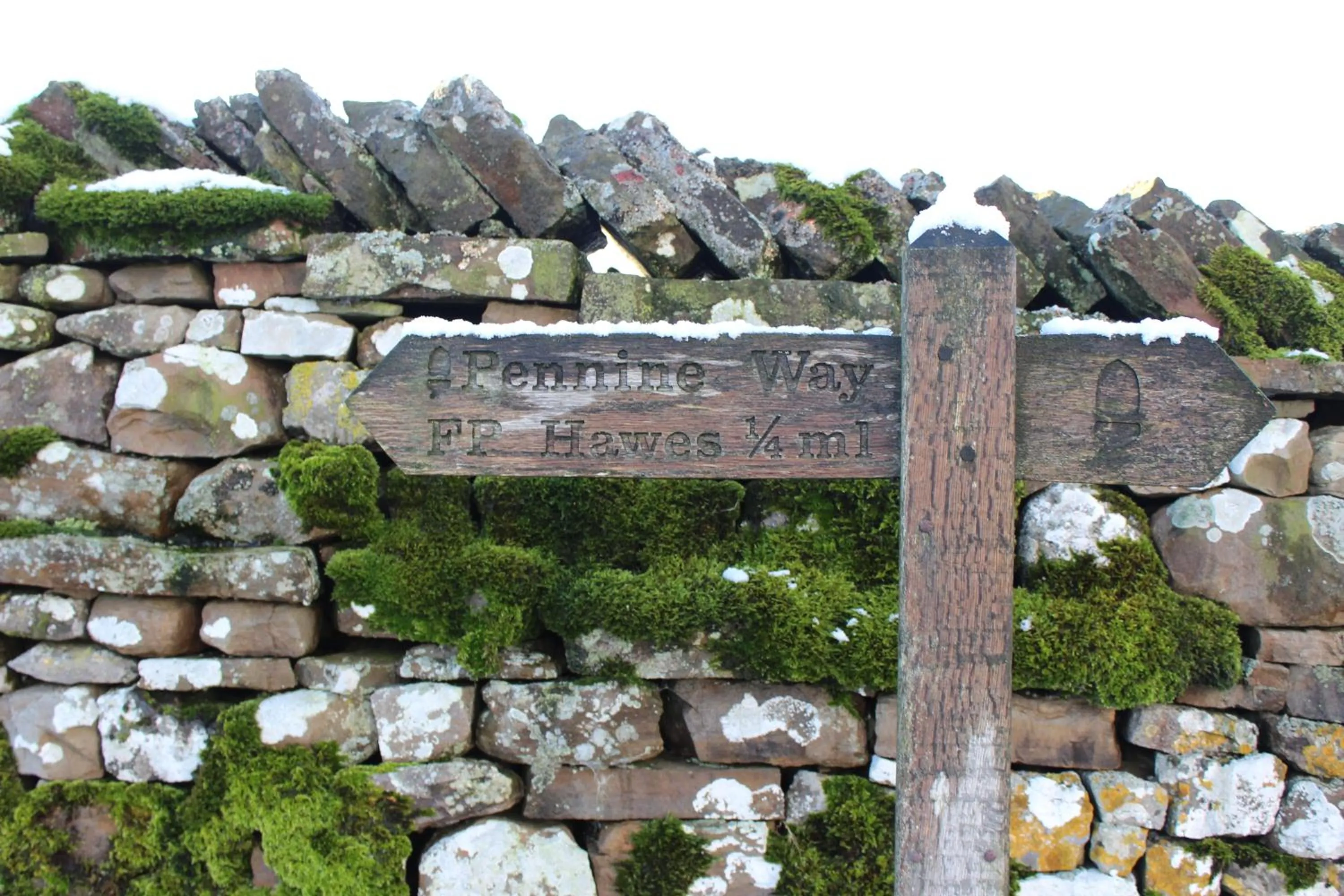 Hiking in The Fountain Hotel
