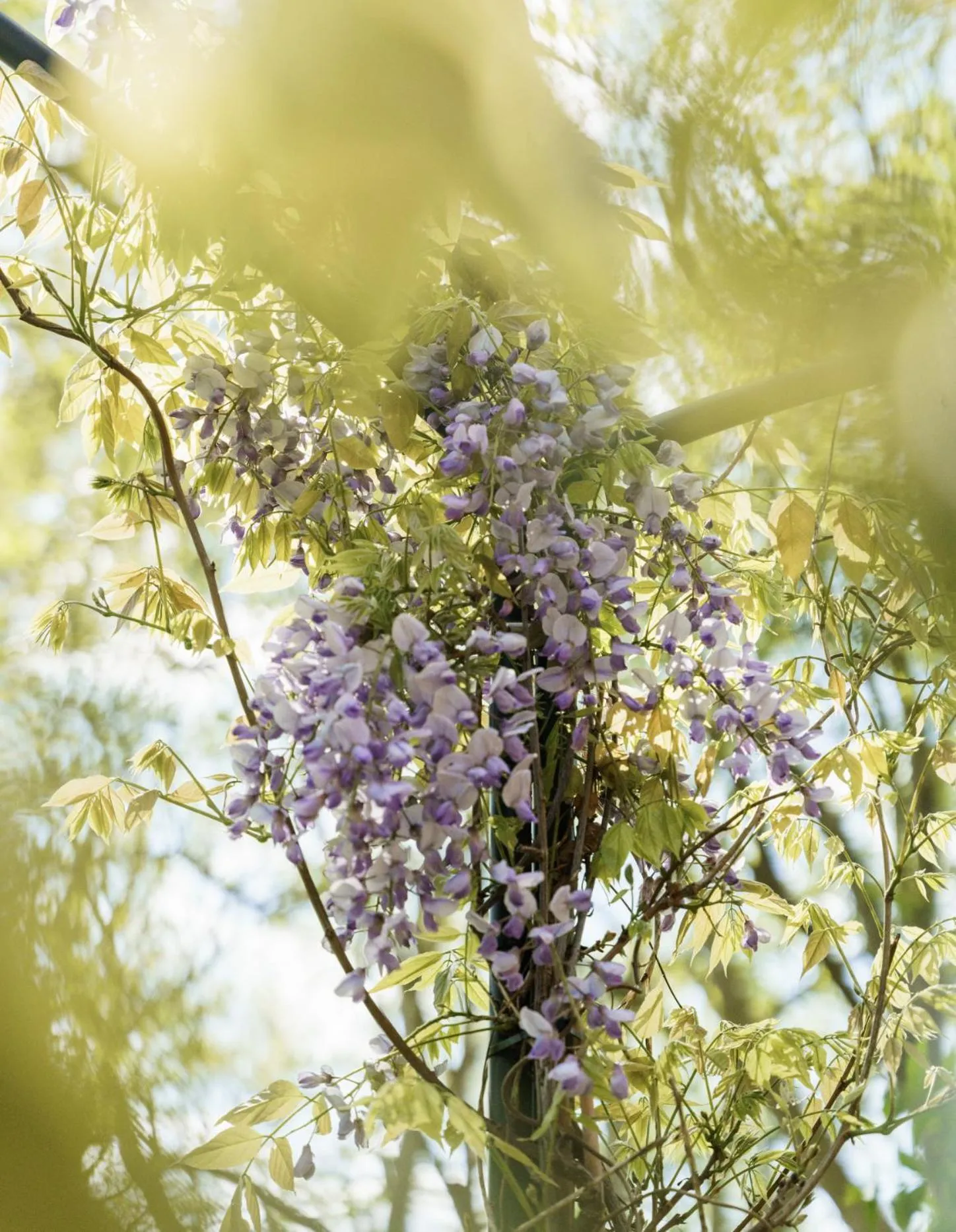 Restaurant/places to eat in St Paul's Hotel