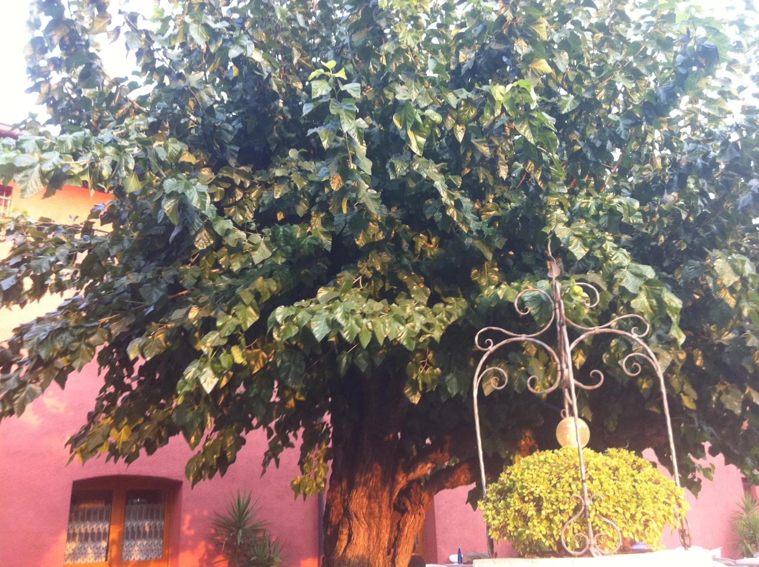 Facade/entrance in Agriturismo Al Casale