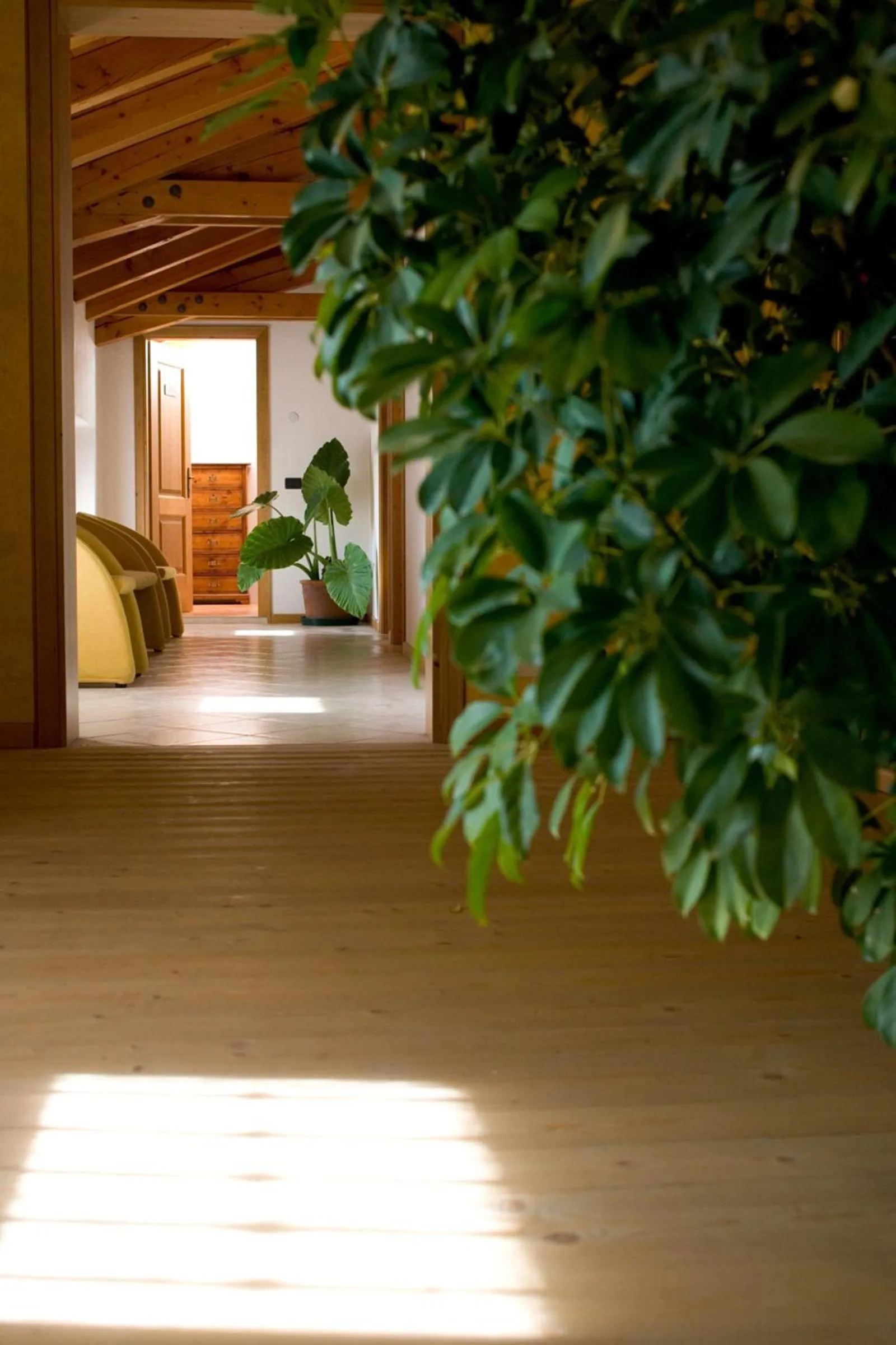 View (from property/room) in Agriturismo Al Casale