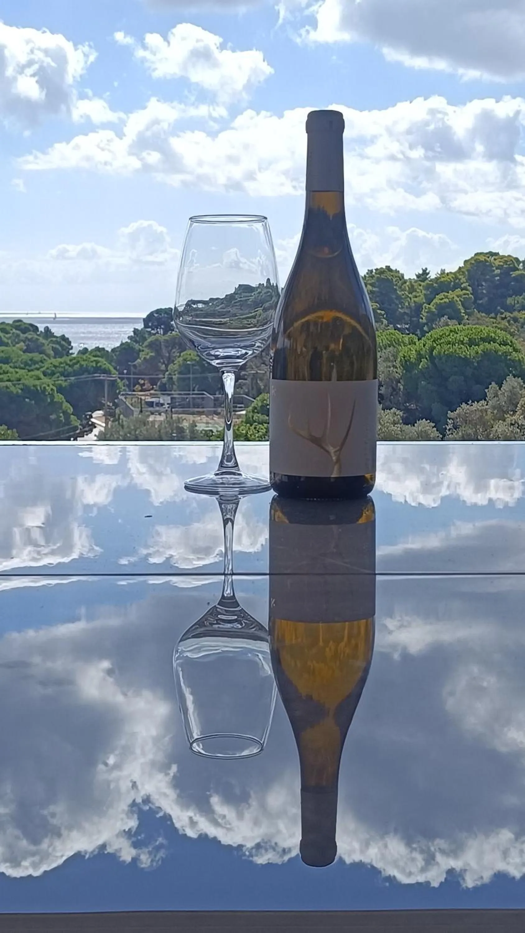 Lounge or bar in Aelia Studios