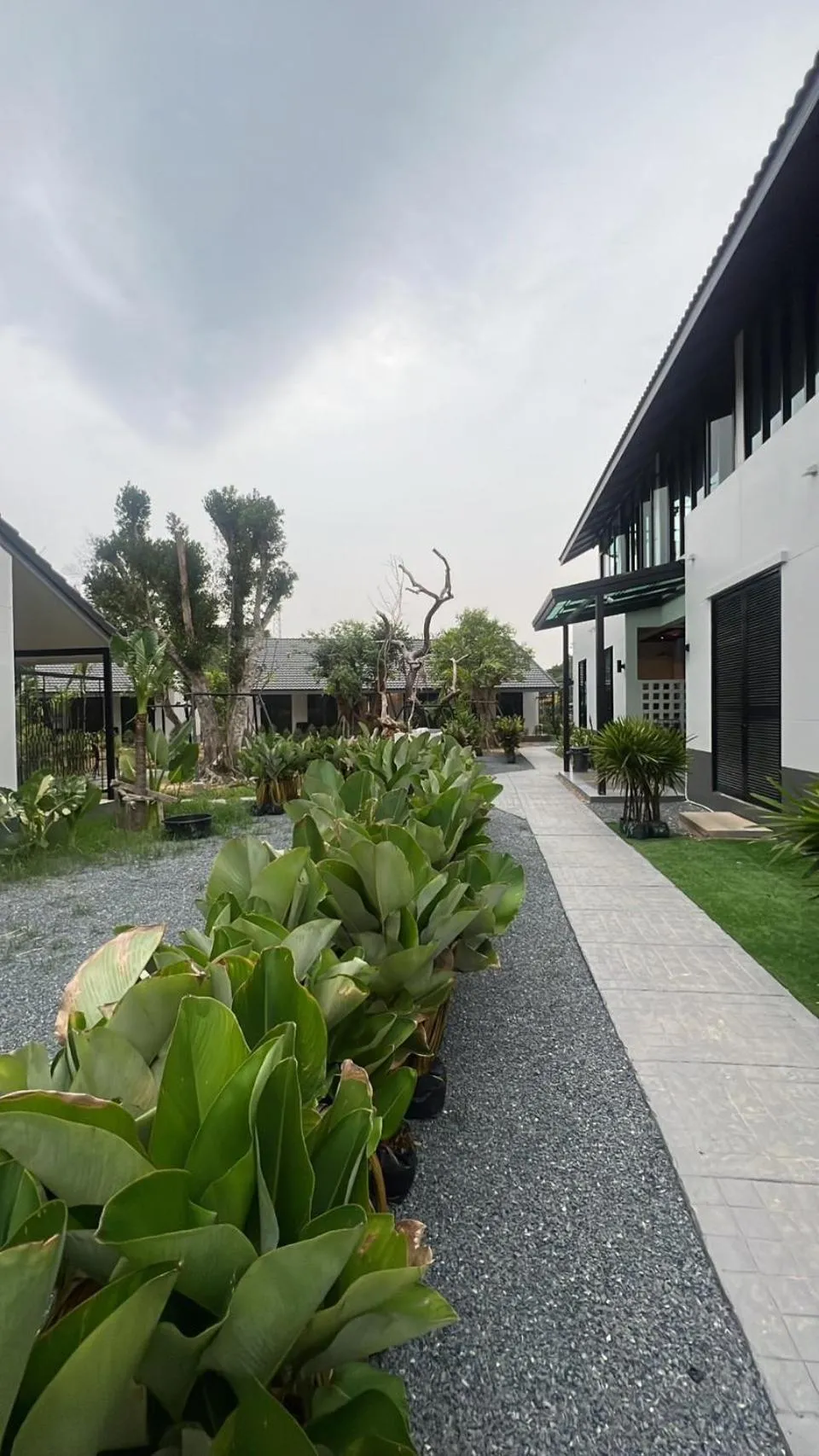 Garden in Trat Tara Boutique Hotel