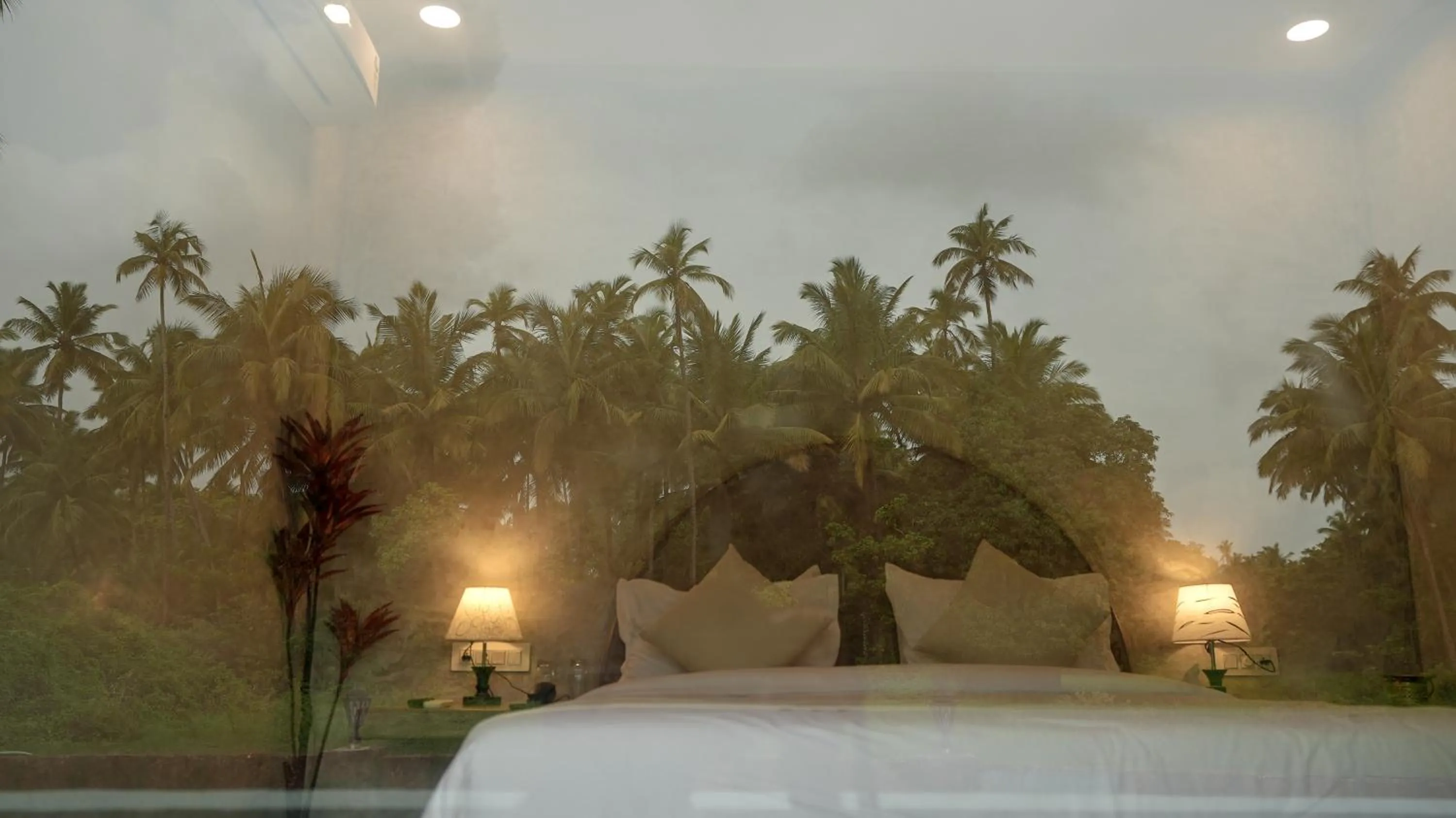 Night in Whiteflower Resort Morjim