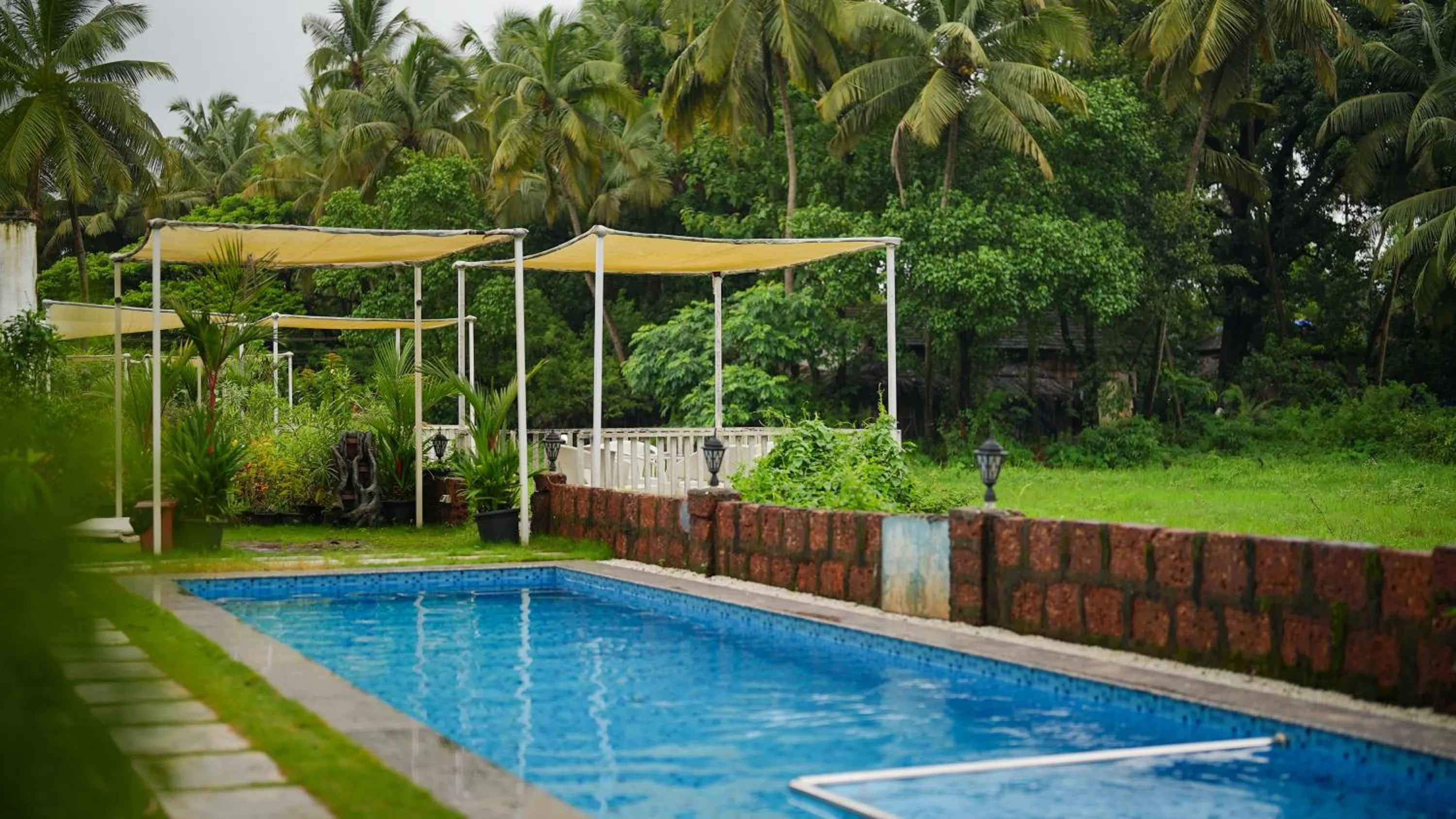 Pool view in Whiteflower Resort Morjim