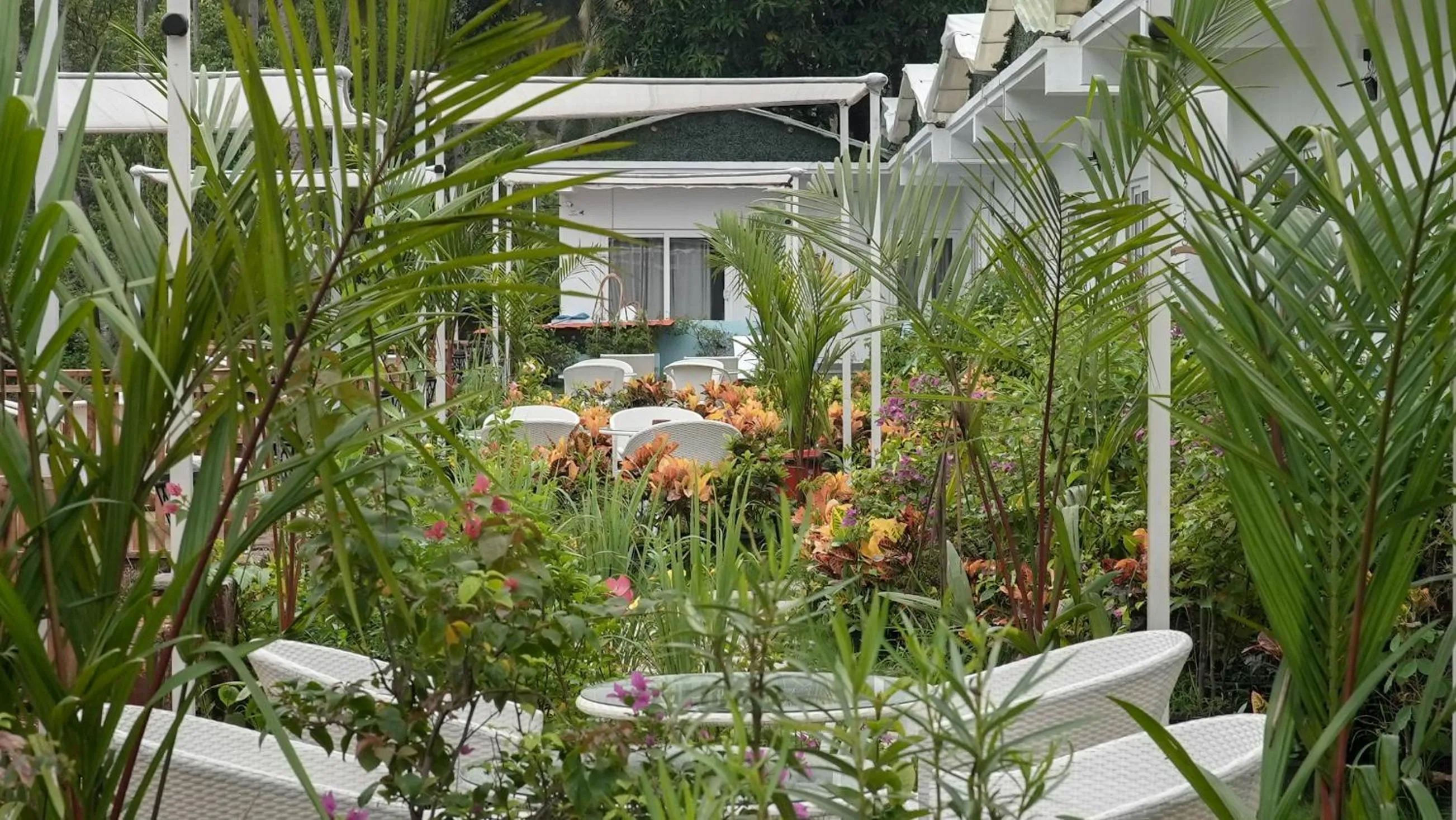 Spring in Whiteflower Resort Morjim