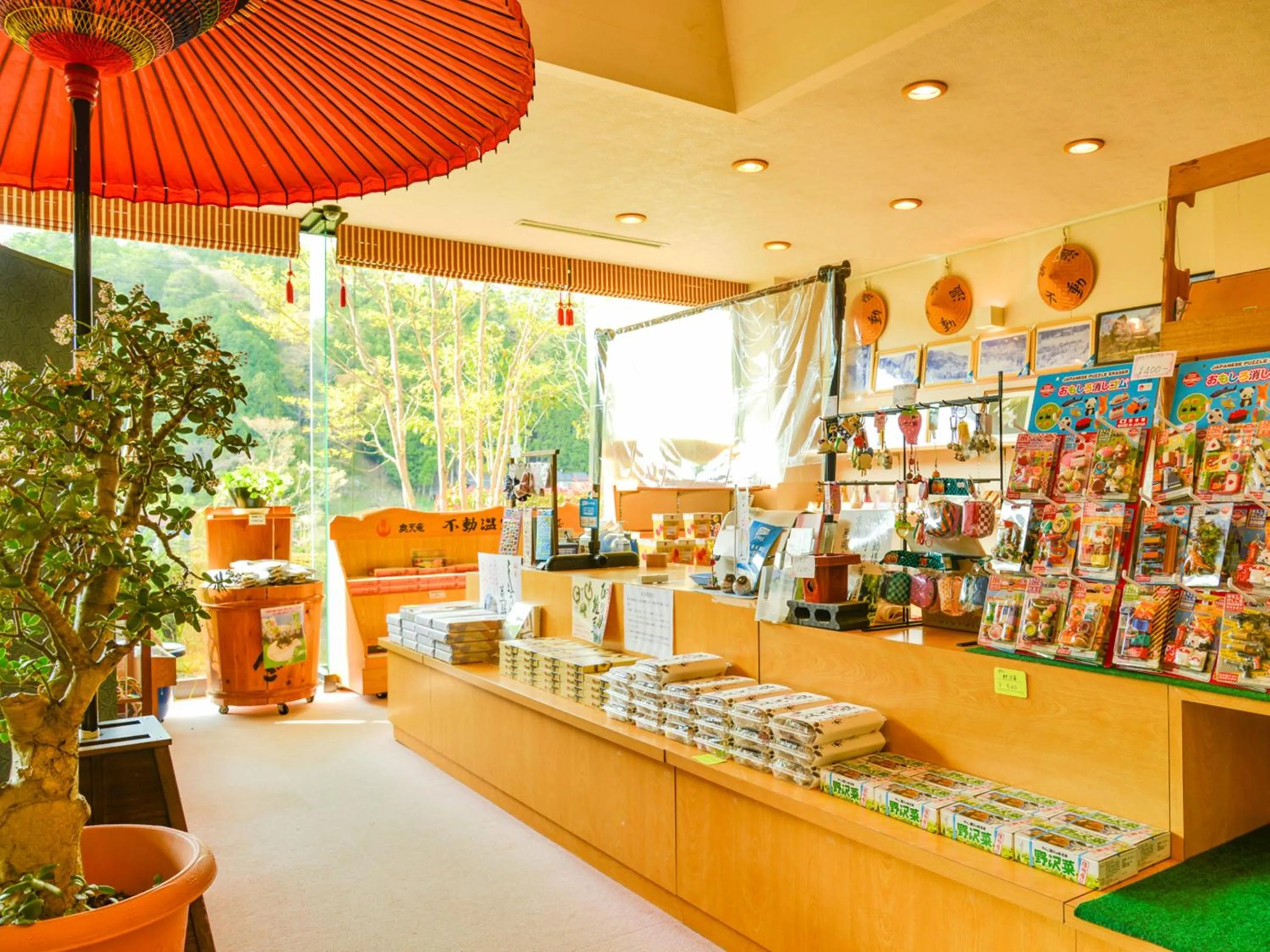 Shopping Area in Fudouonsen Sawaya