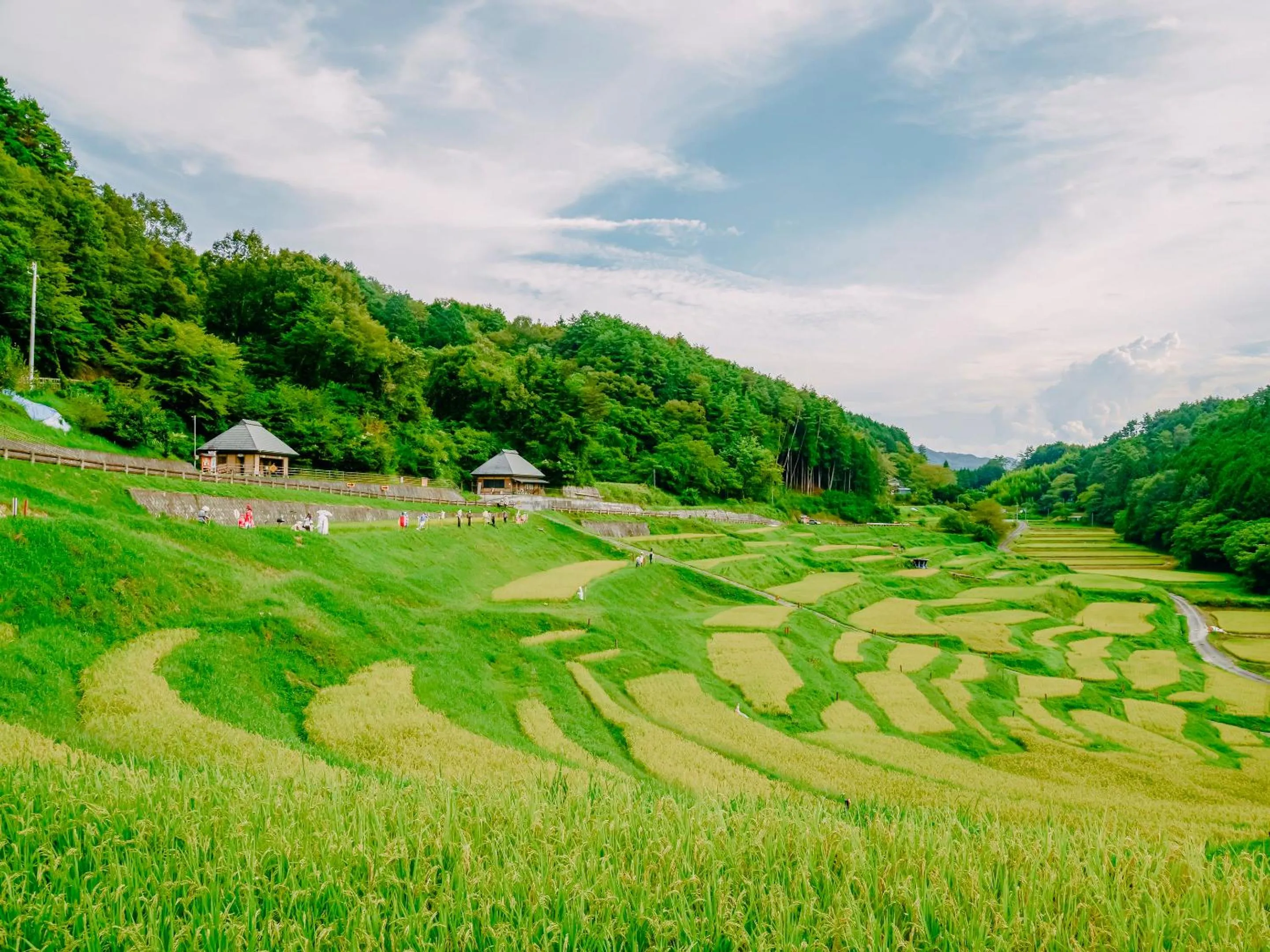Natural landscape in Fudouonsen Sawaya