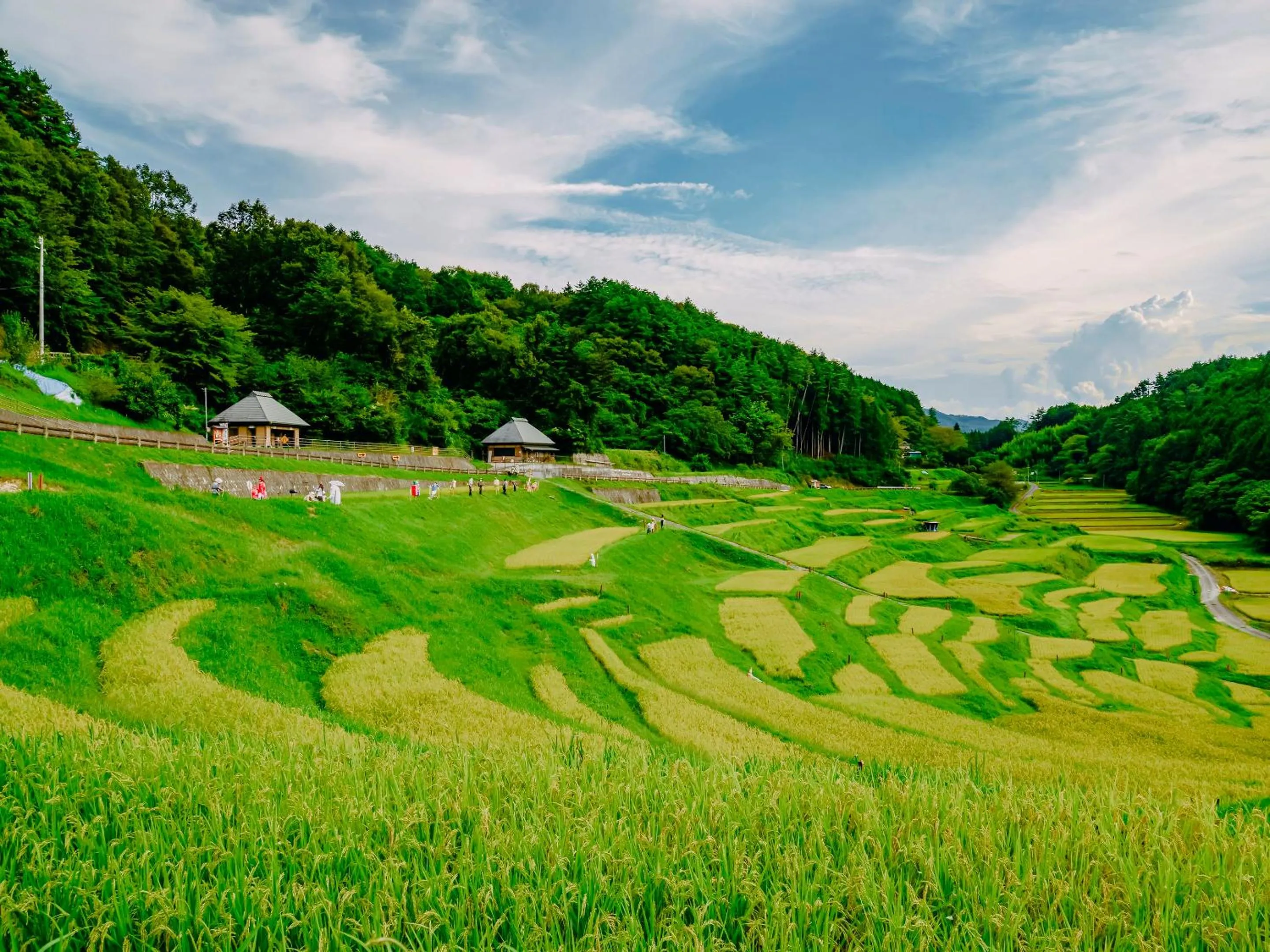 Natural landscape in Fudouonsen Sawaya