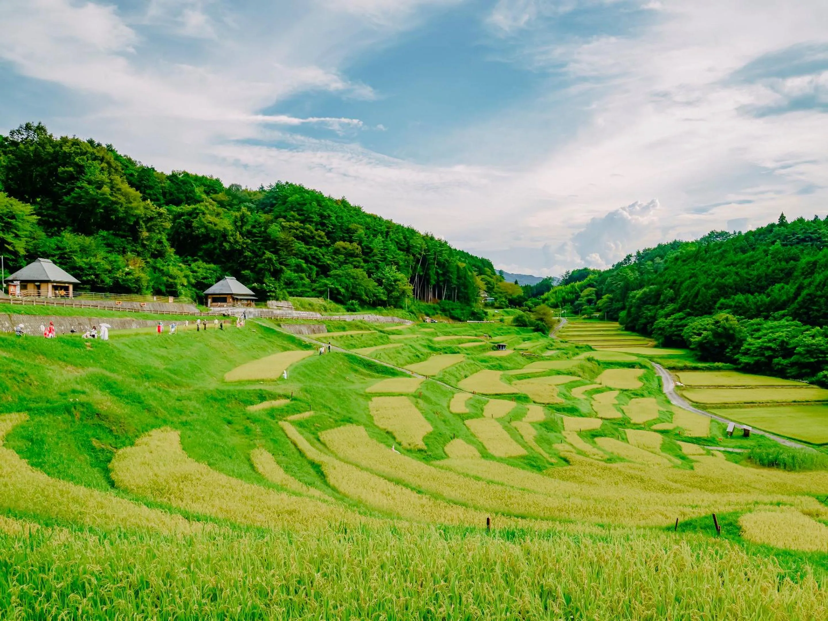 Natural landscape in Fudouonsen Sawaya