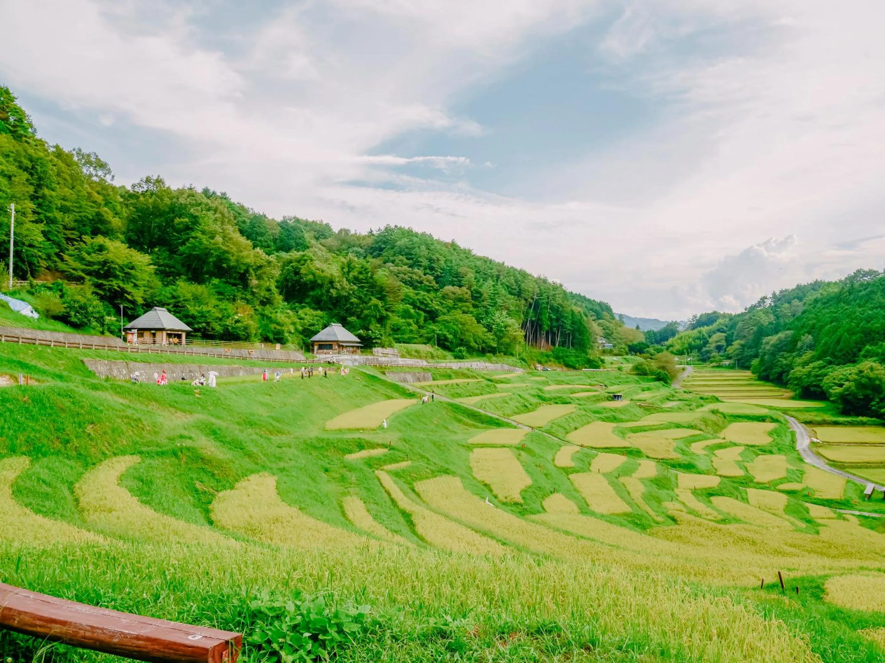 Natural landscape in Fudouonsen Sawaya