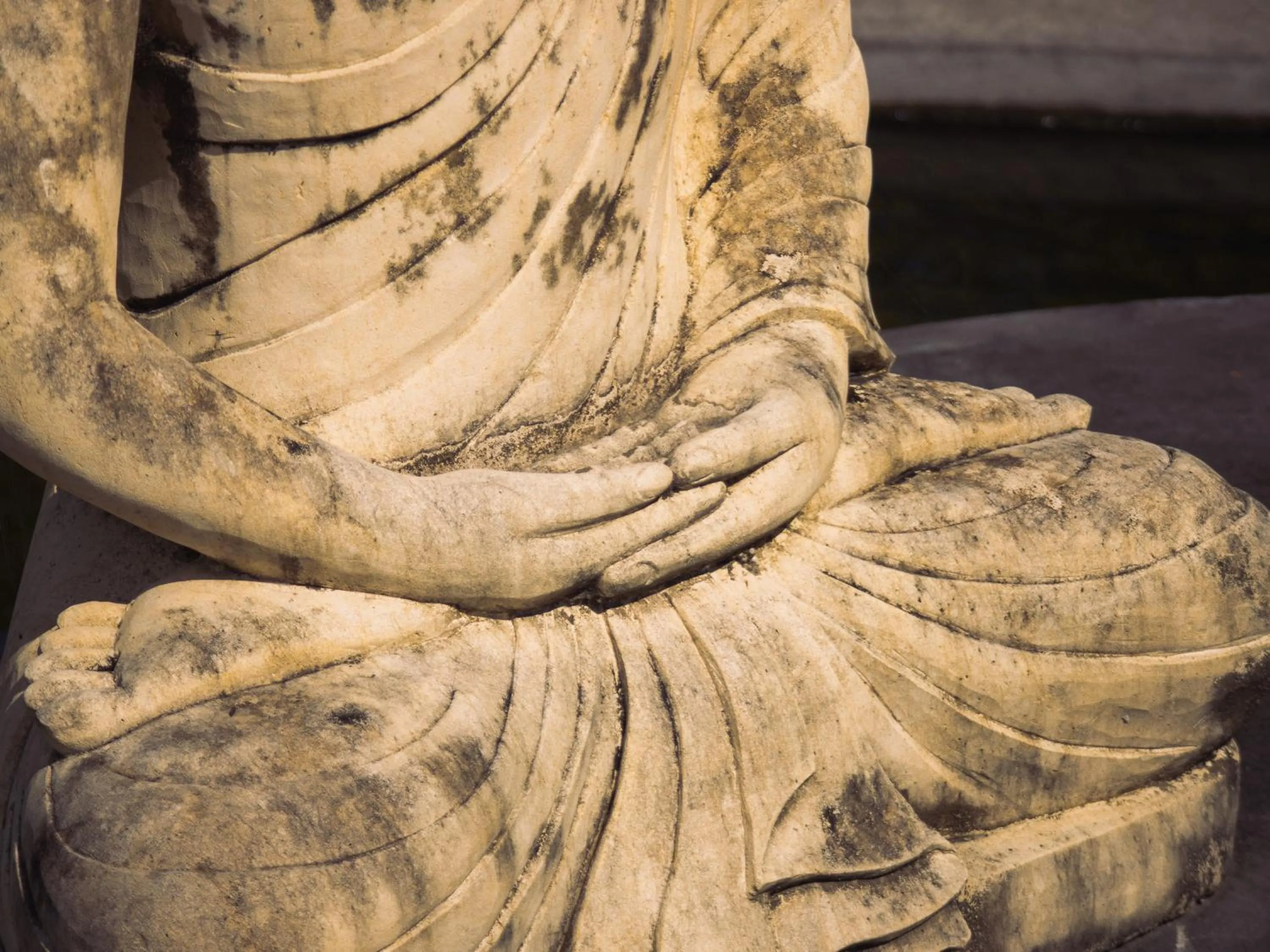 Garden in K Ko Surf Village at Keramas