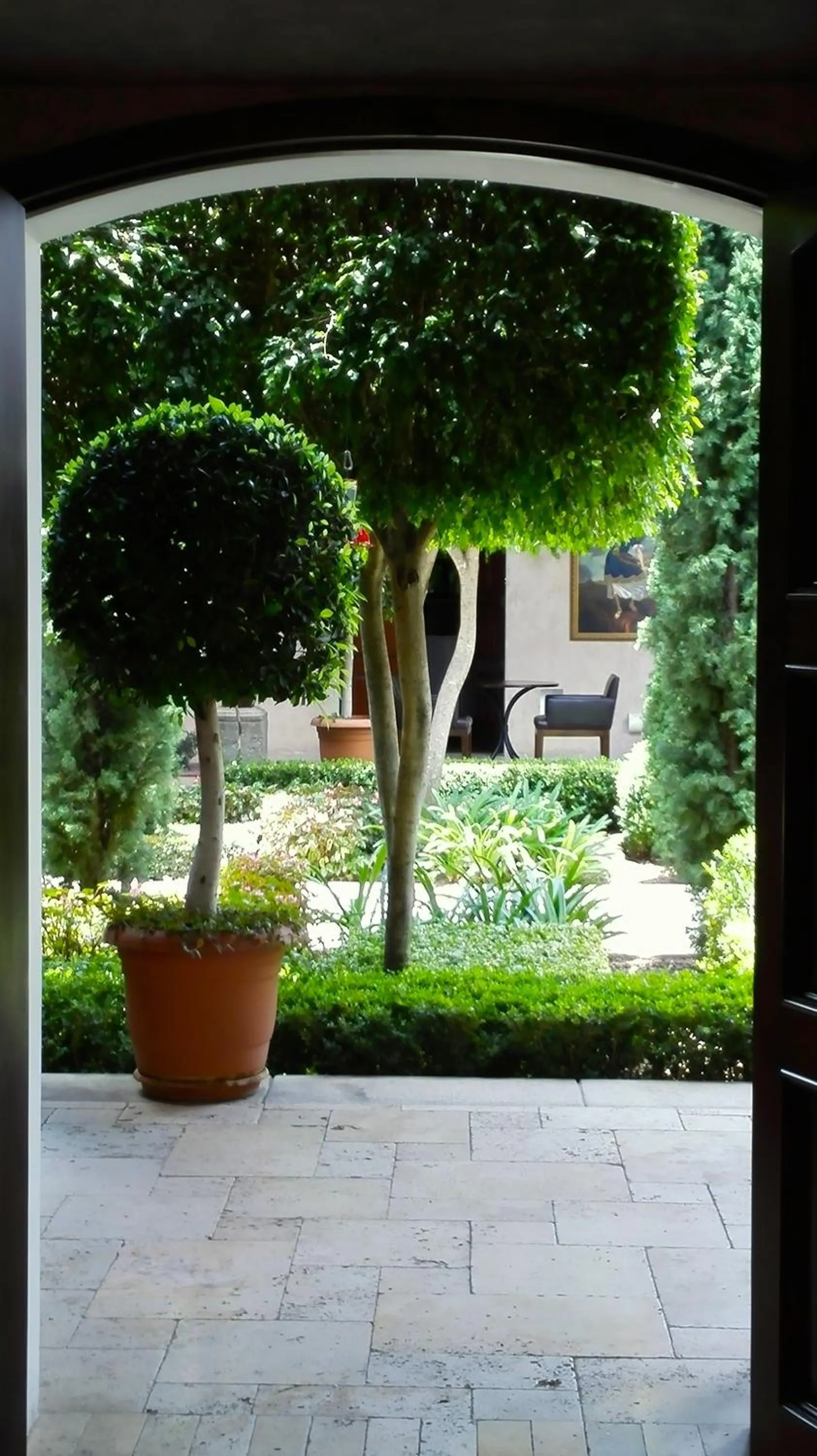 Garden view in San Rafael Hotel