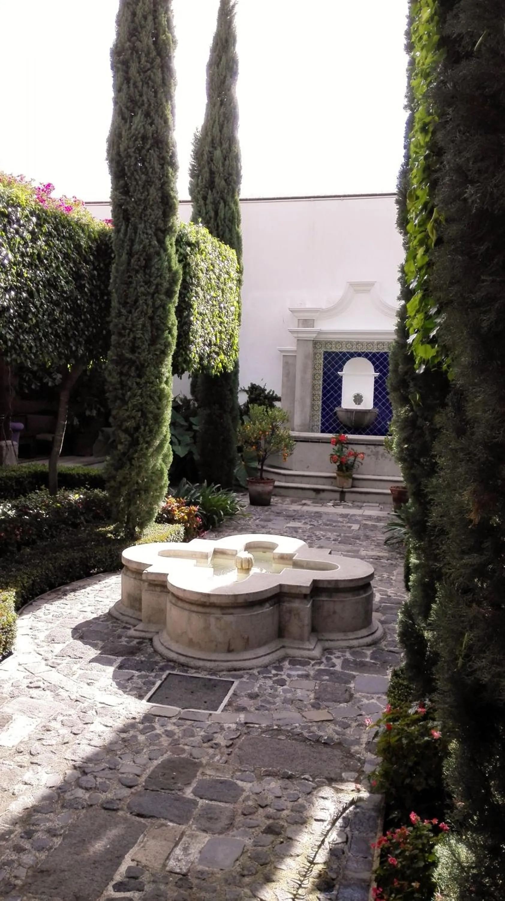 Garden view in San Rafael Hotel