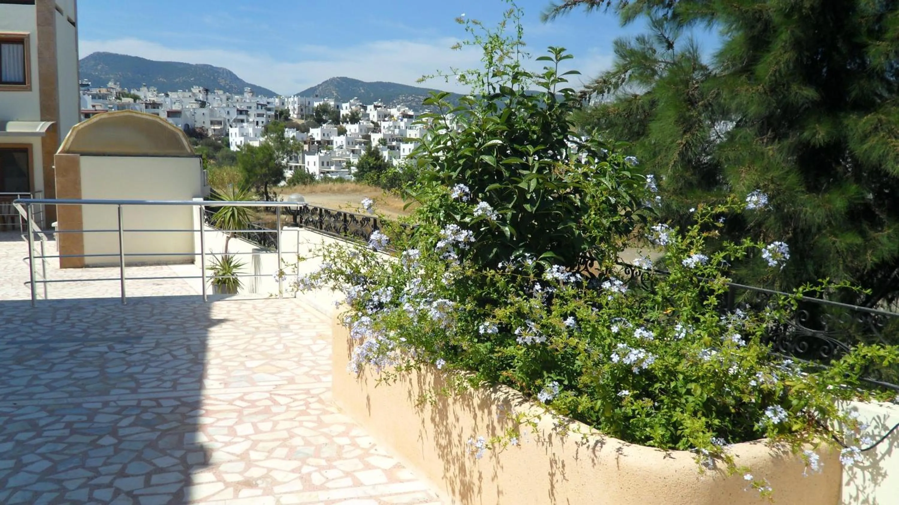 Garden in Ozukara Apart 1