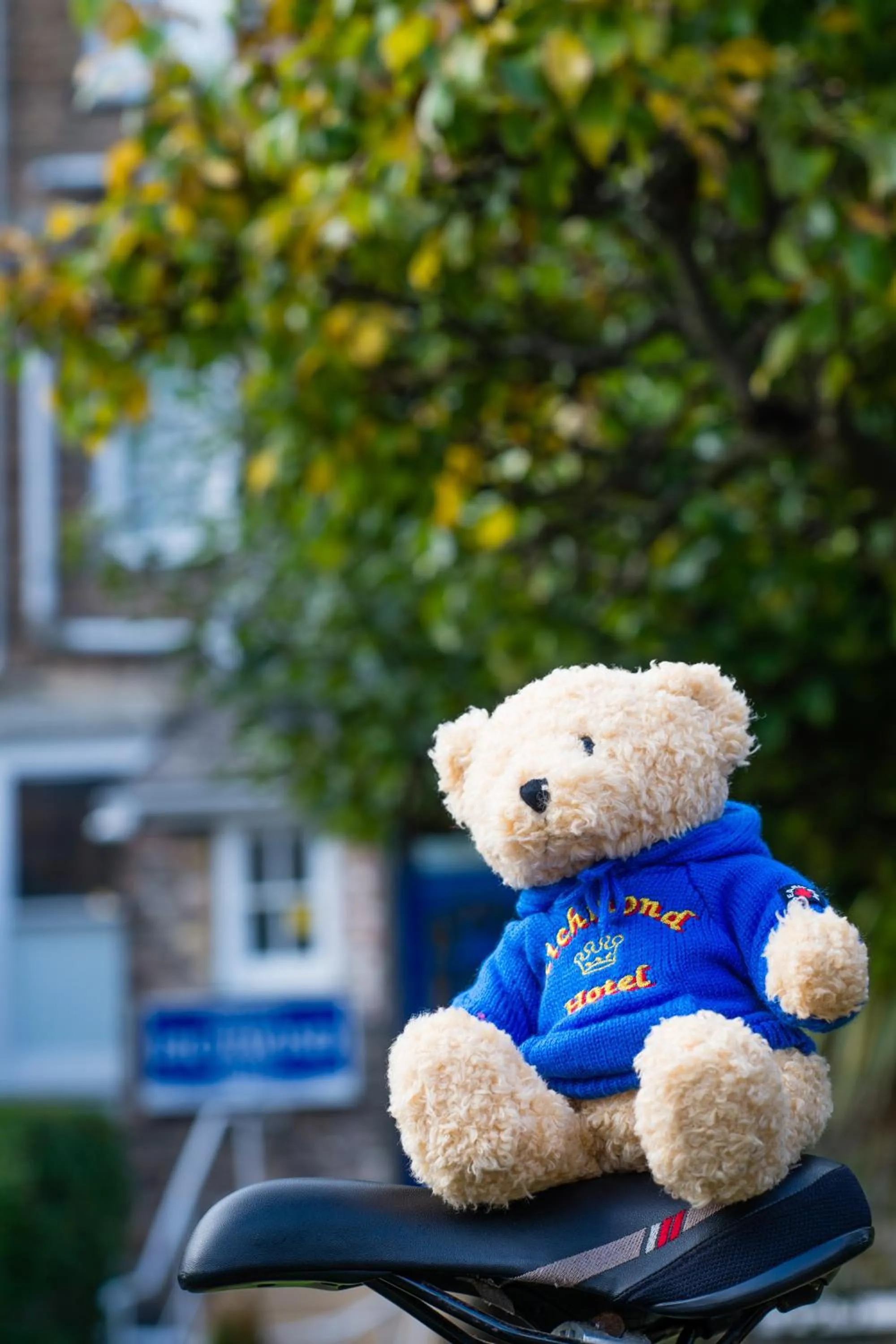 Decorative detail in Richmond Hotel