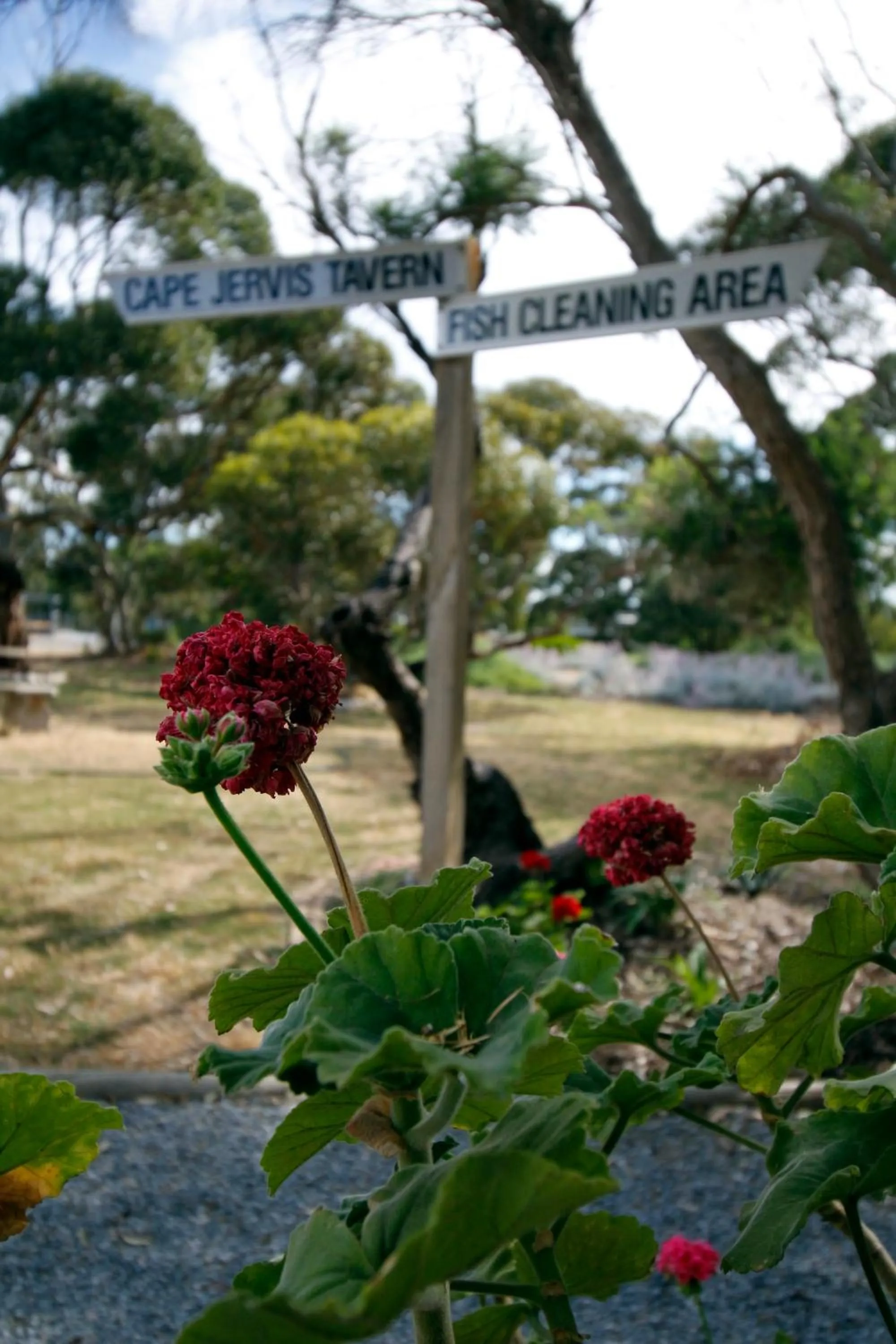 Garden in Cape Jervis Holiday Units
