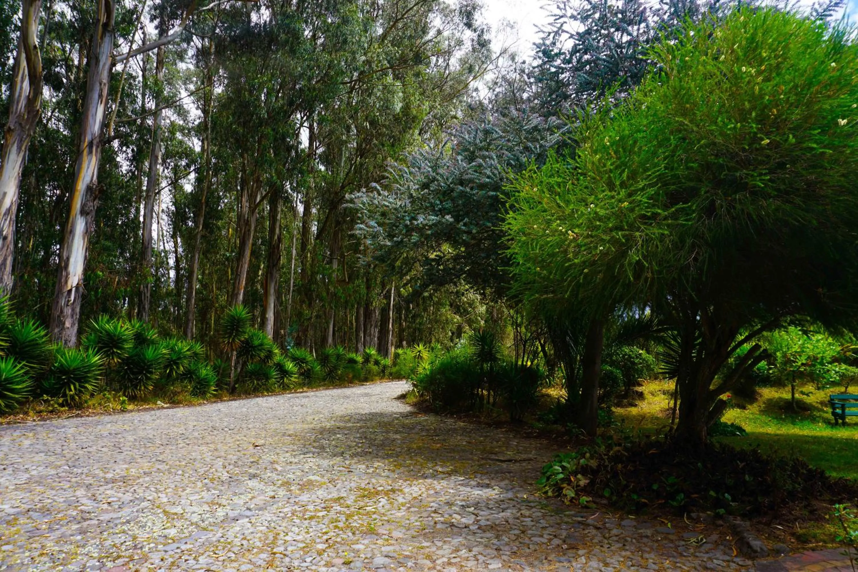 Garden in Hacienda Hostería San Luis