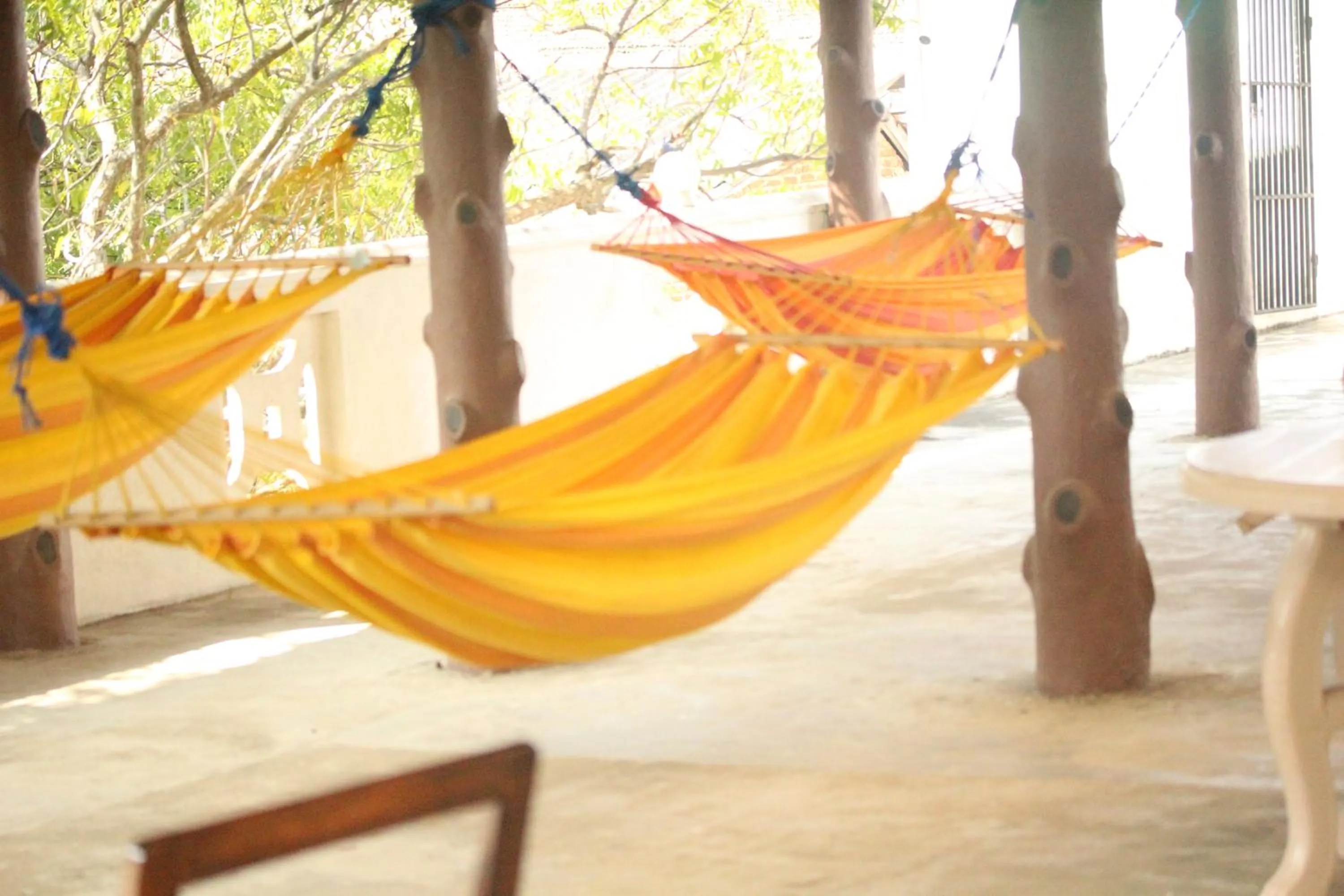 Balcony/Terrace in Muhsin Villa - Galle Fort