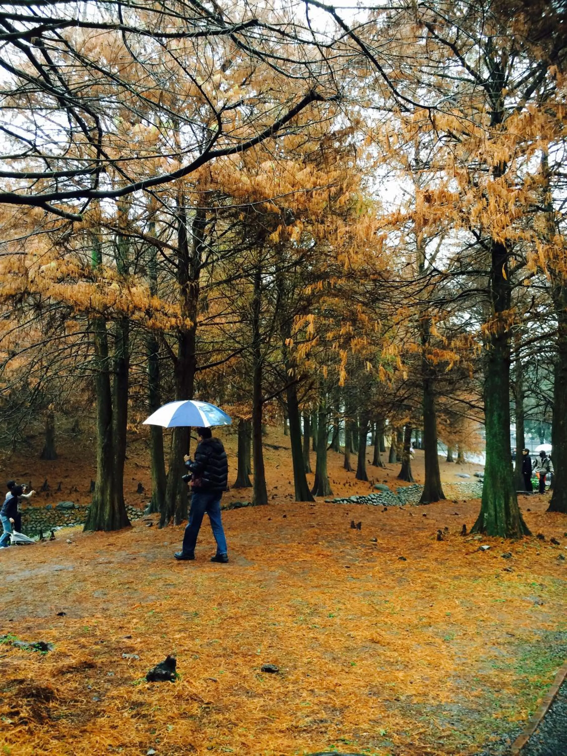 Nearby landmark in Park 61