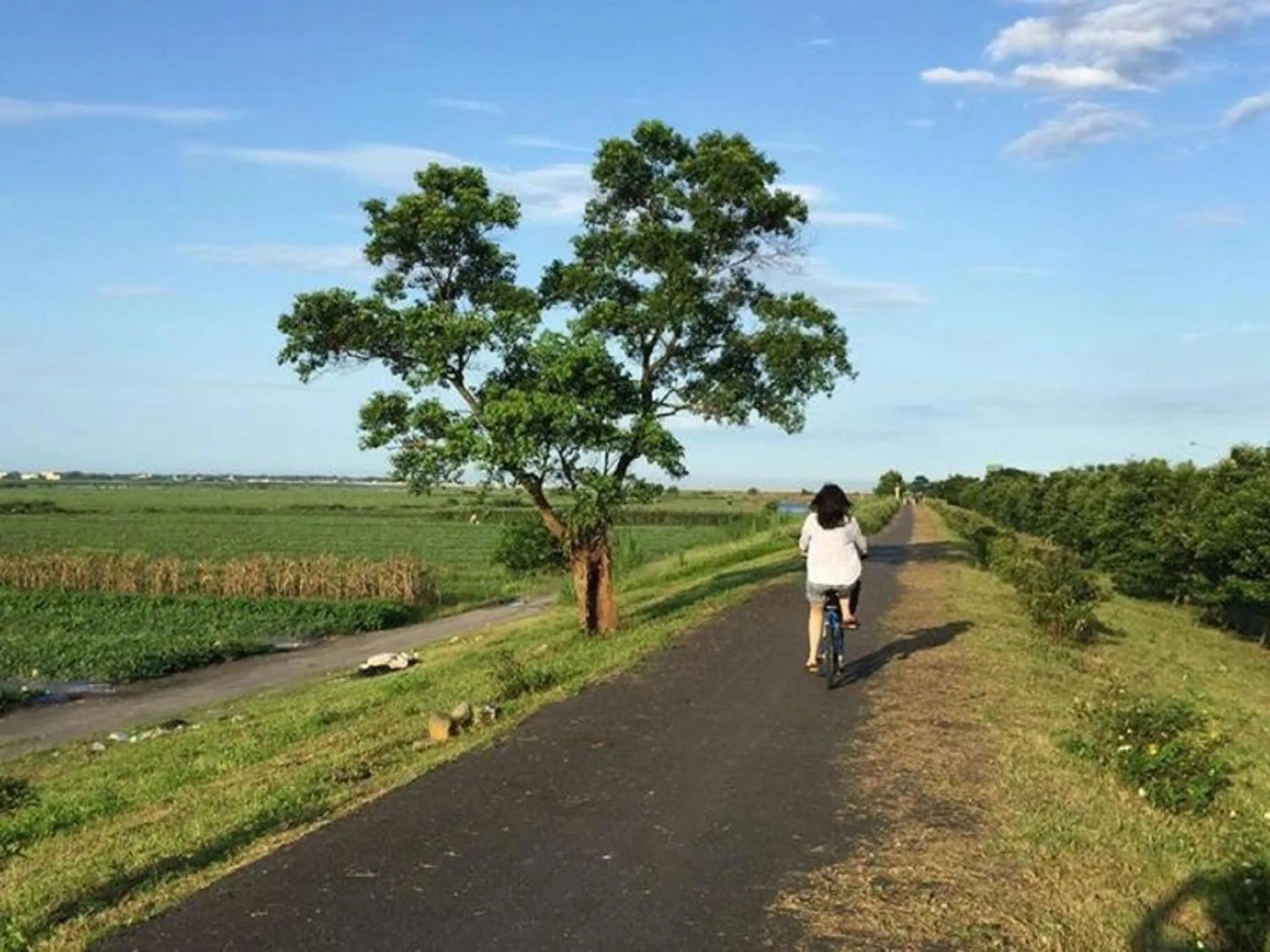 Landmark view in Park 61