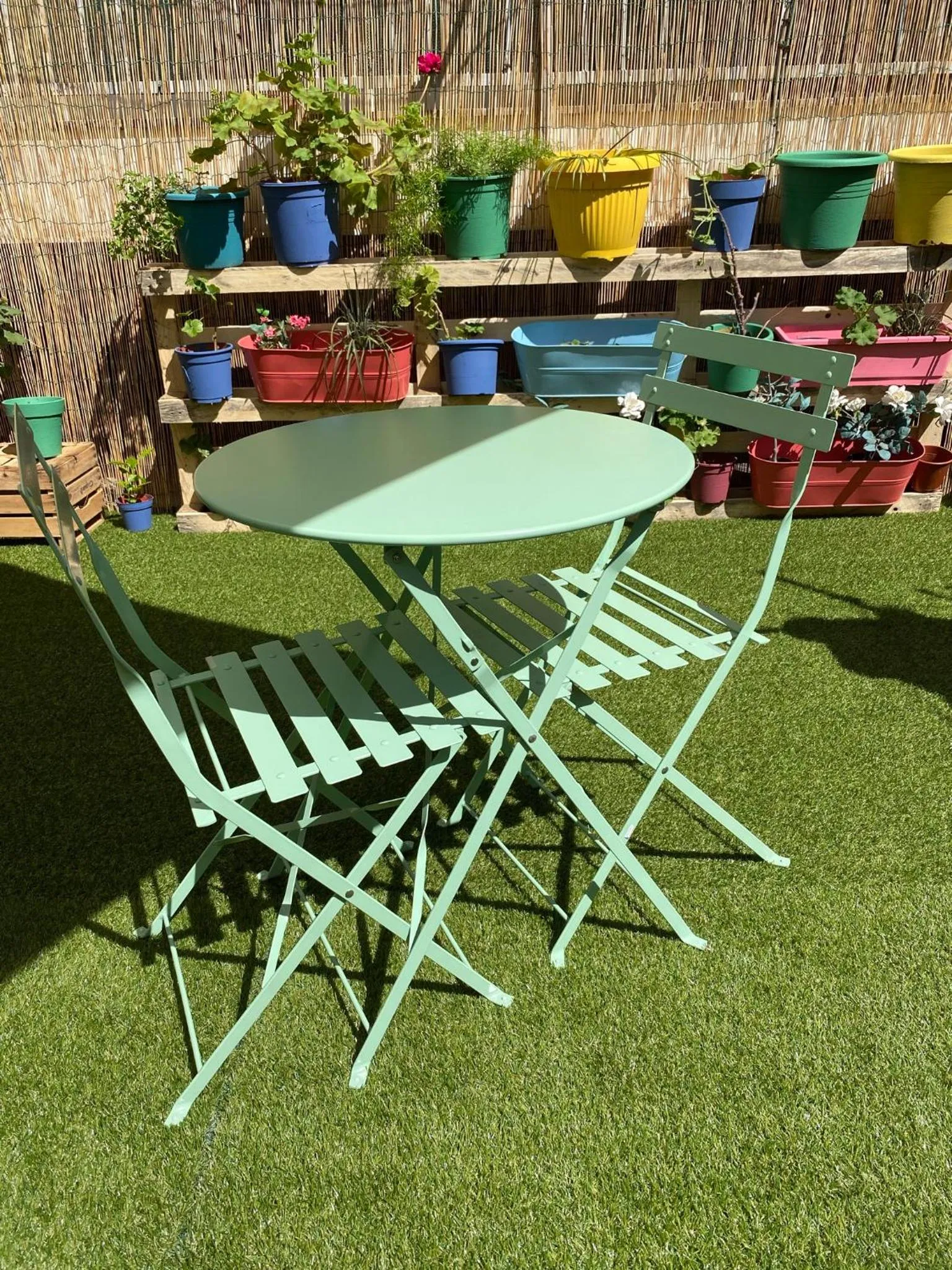 Garden in Olive Tree