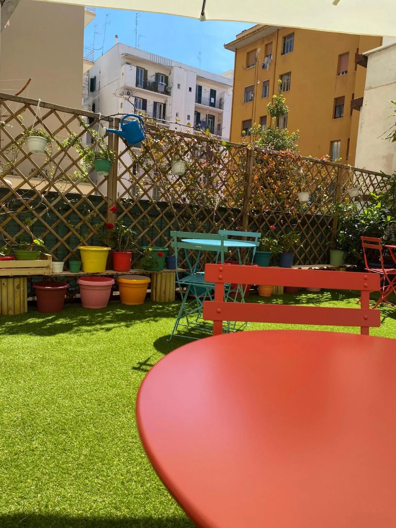 Garden in Olive Tree