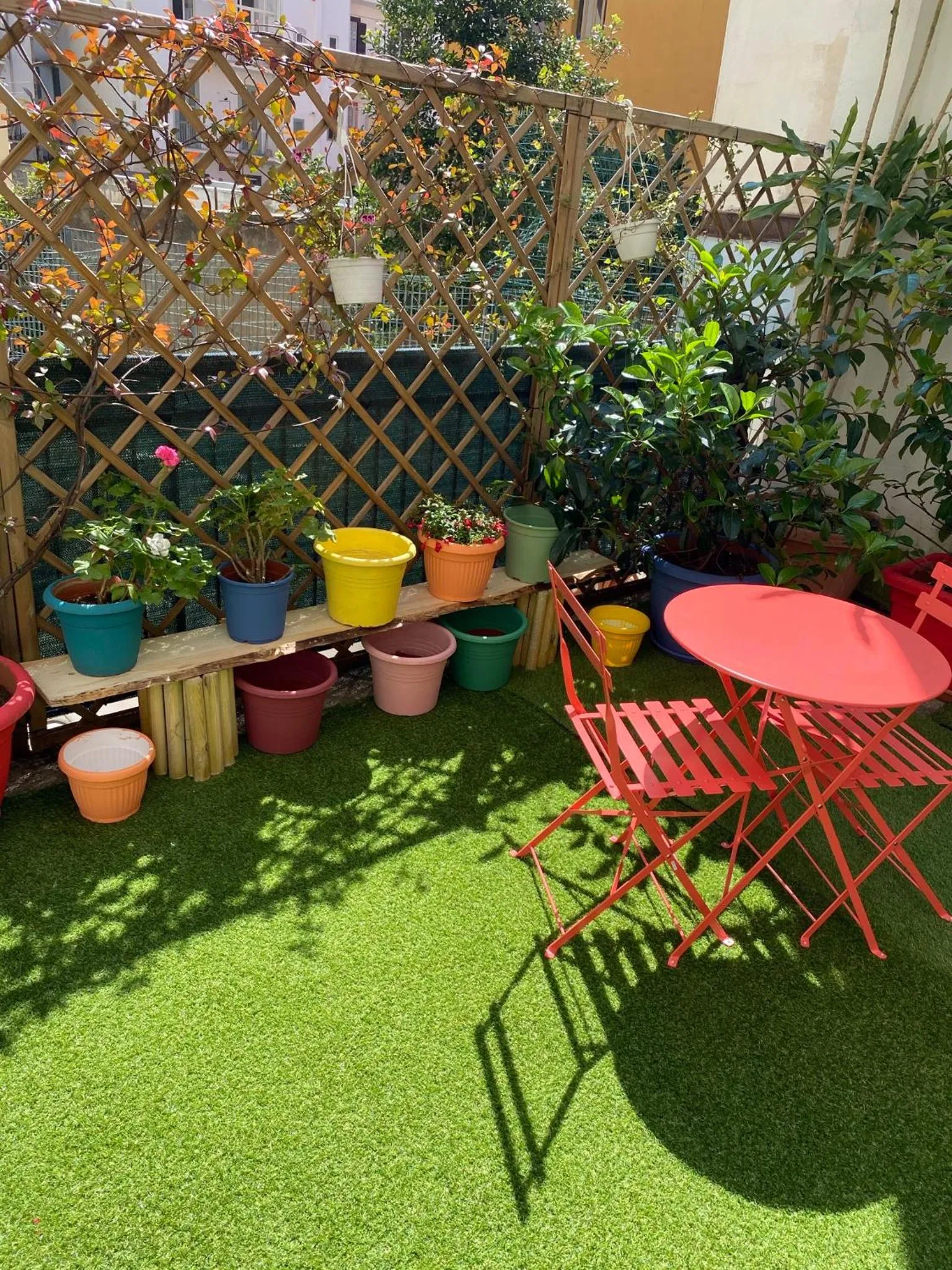 Garden in Olive Tree