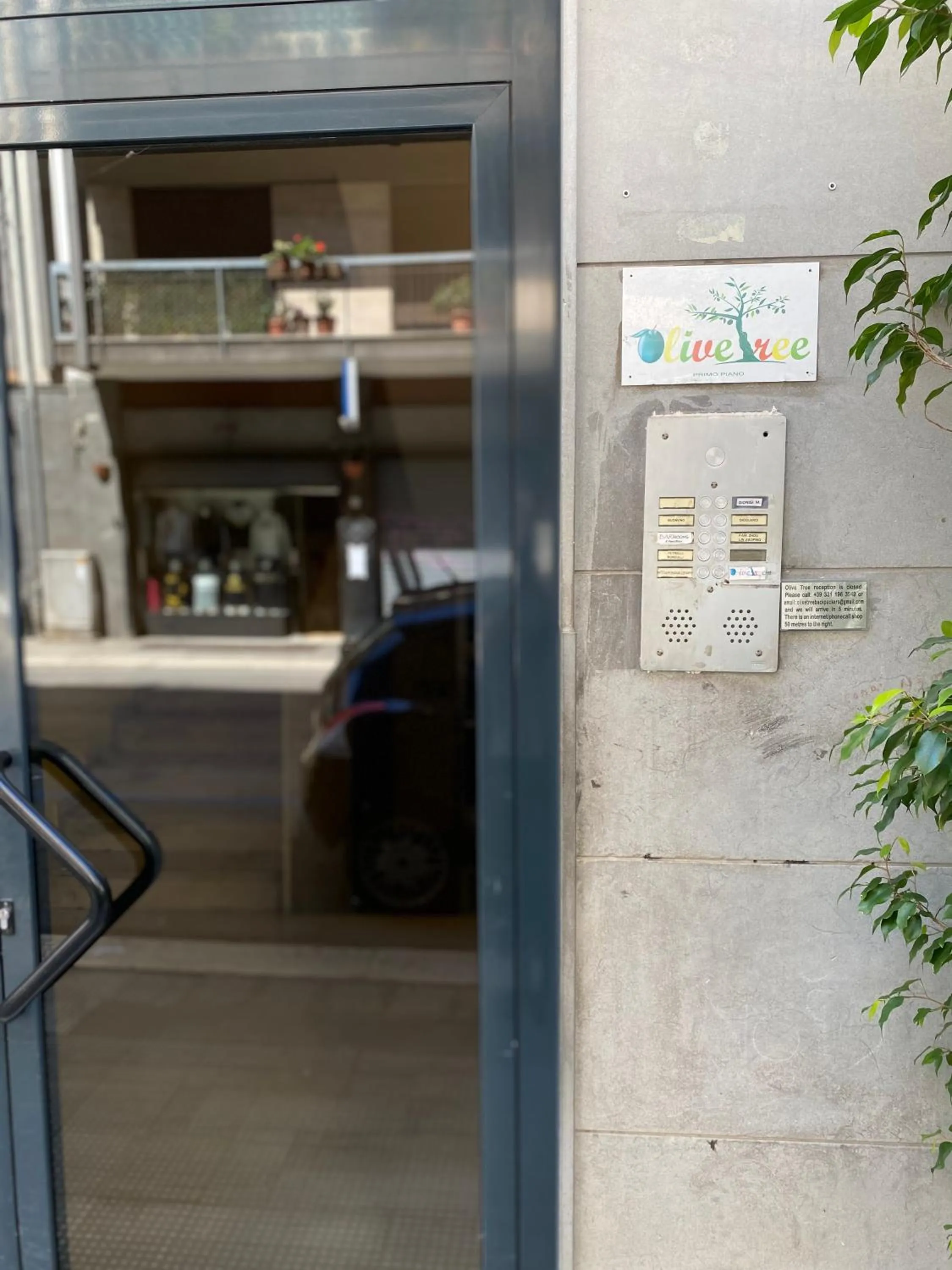 Property building in Olive Tree