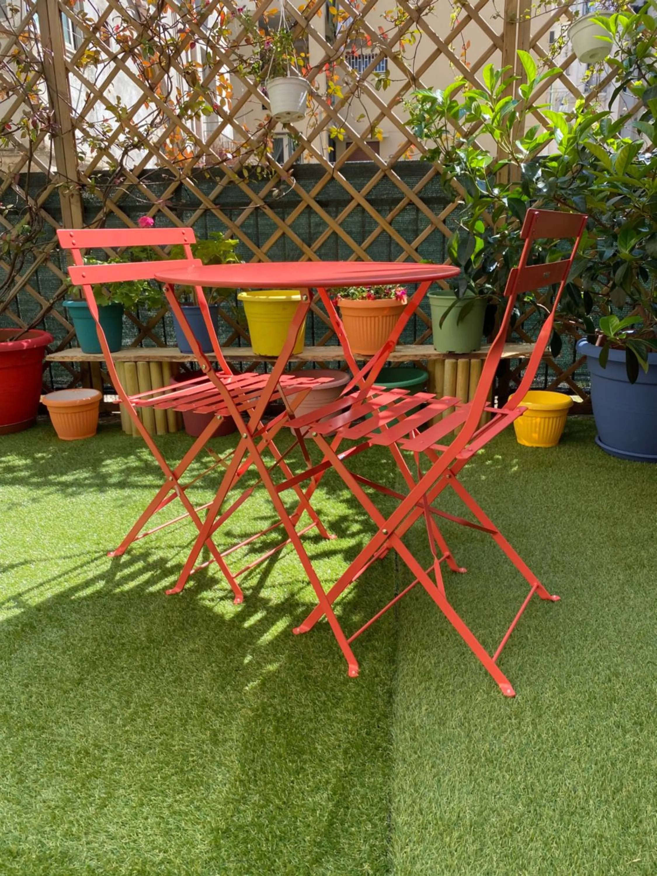 Garden in Olive Tree