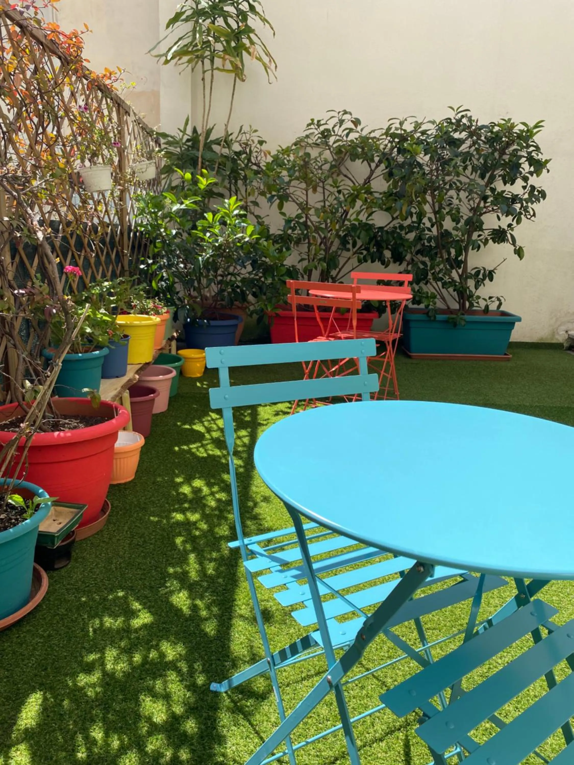 Garden in Olive Tree