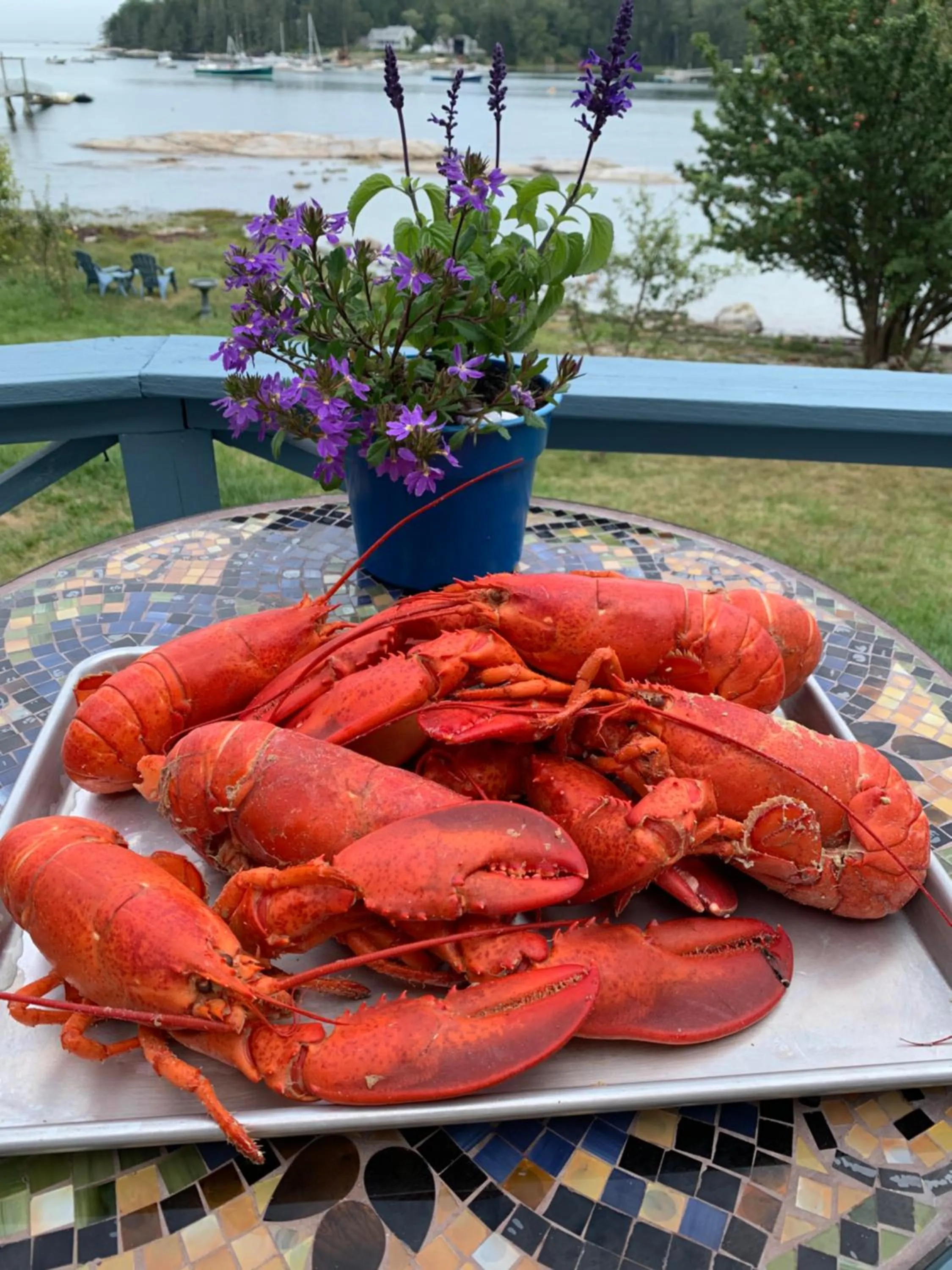 Trade Winds on the Bay