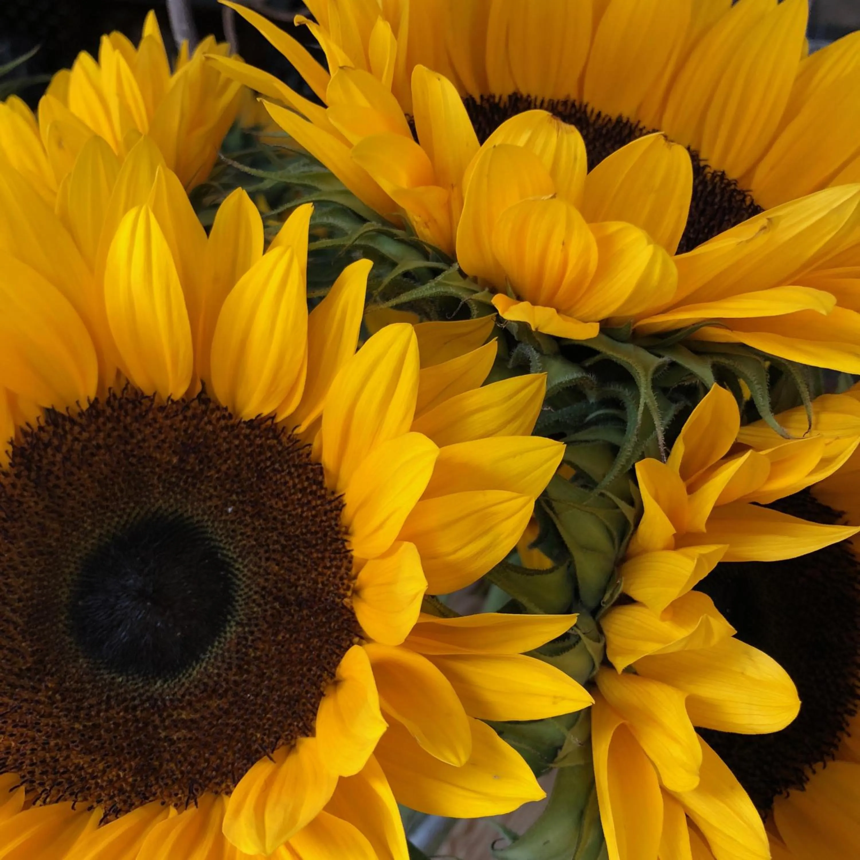 Dining area in Castle Inn