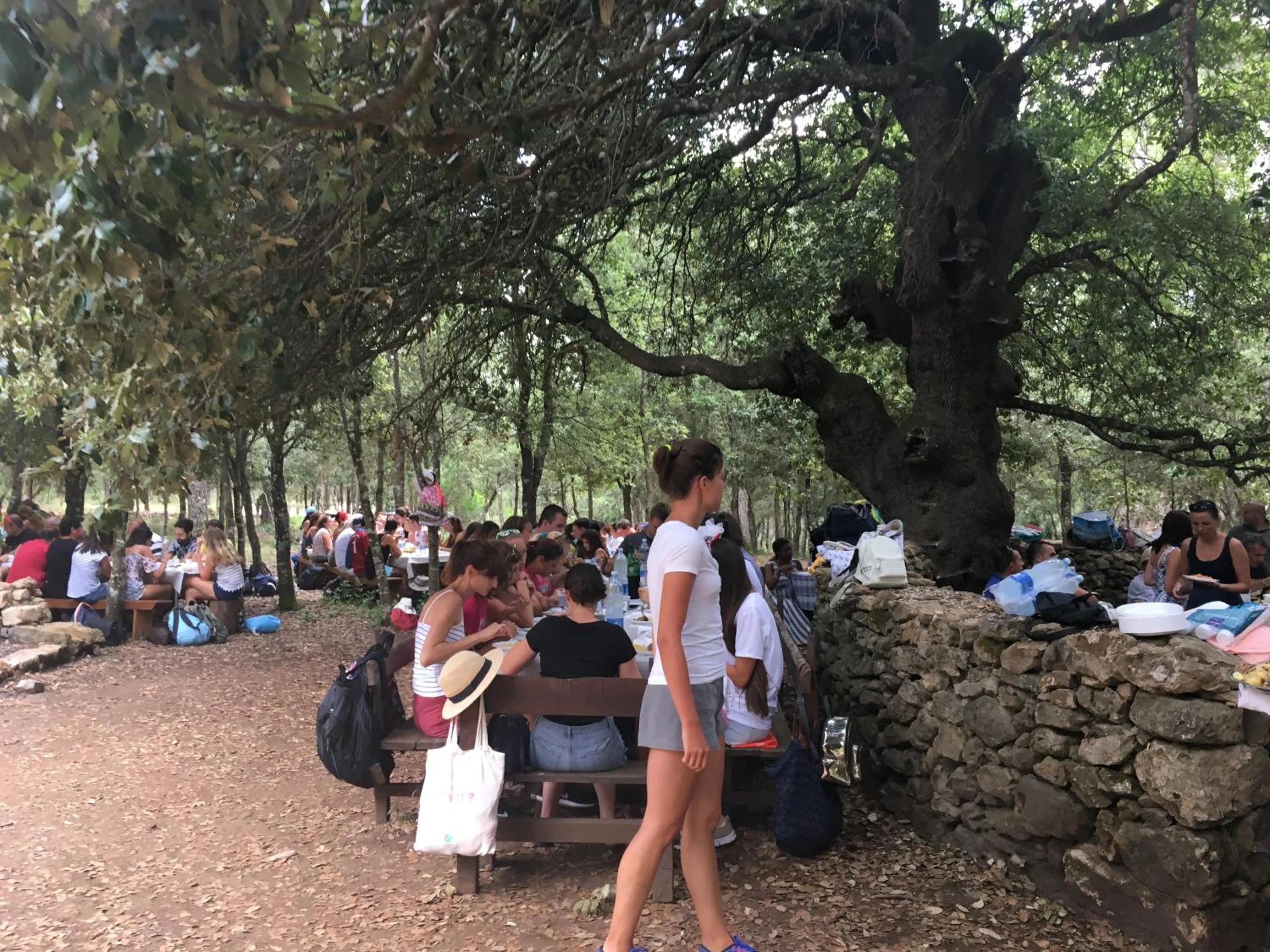 group of guests in Hotel Miramonti Seulo Turismo Rurale