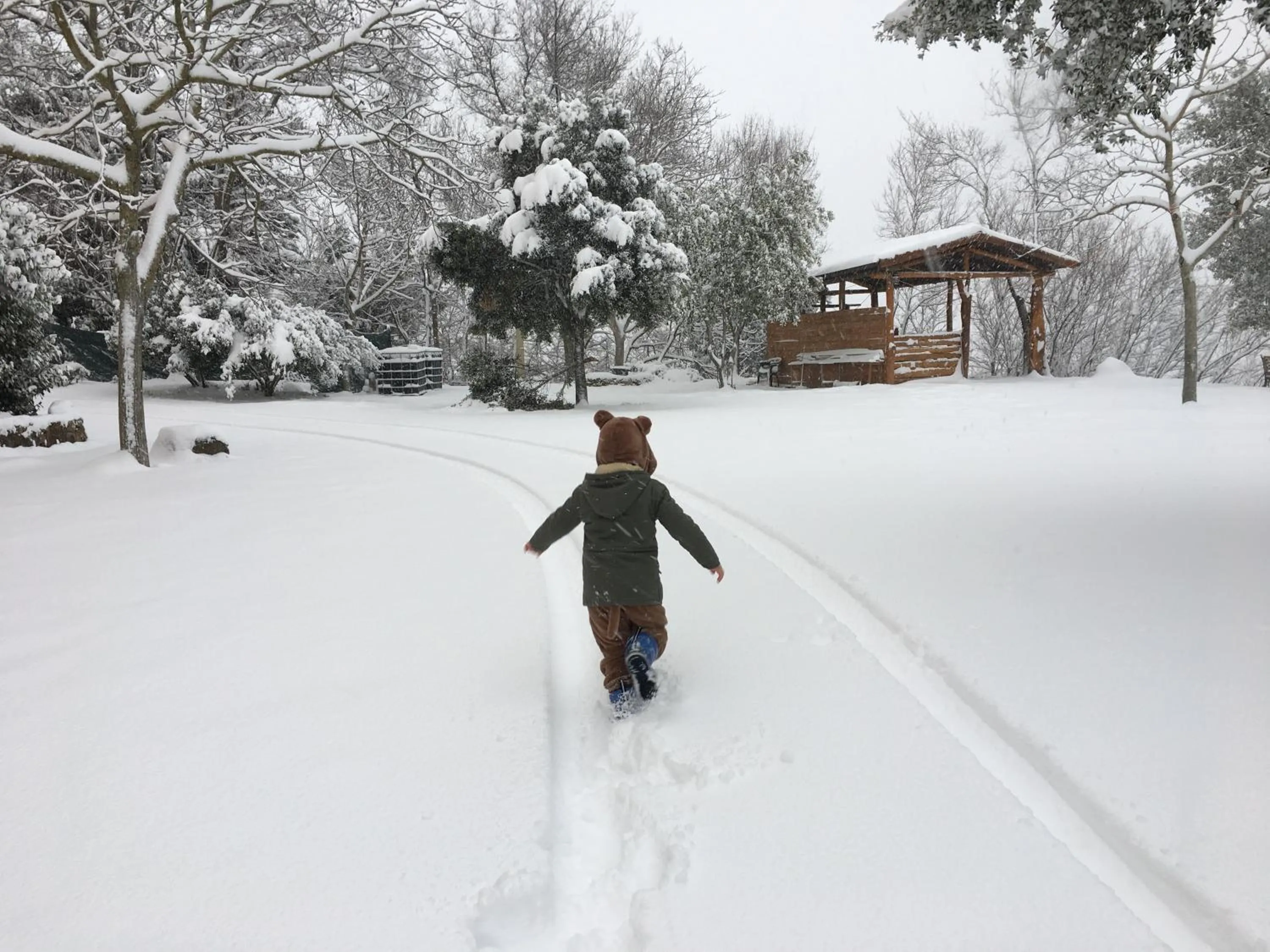 Garden in Hotel Miramonti Seulo Turismo Rurale