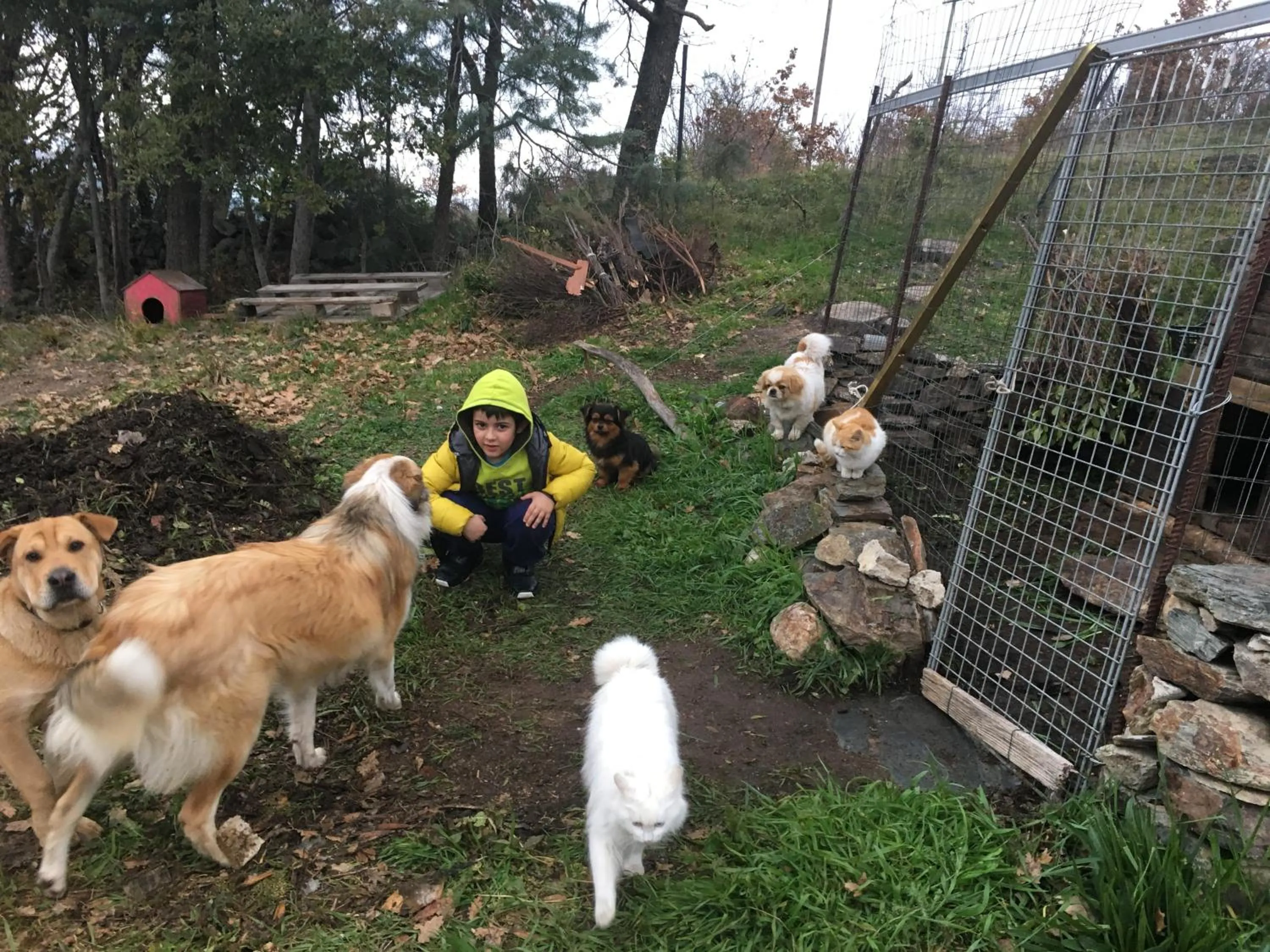 Pets in Hotel Miramonti Seulo Turismo Rurale