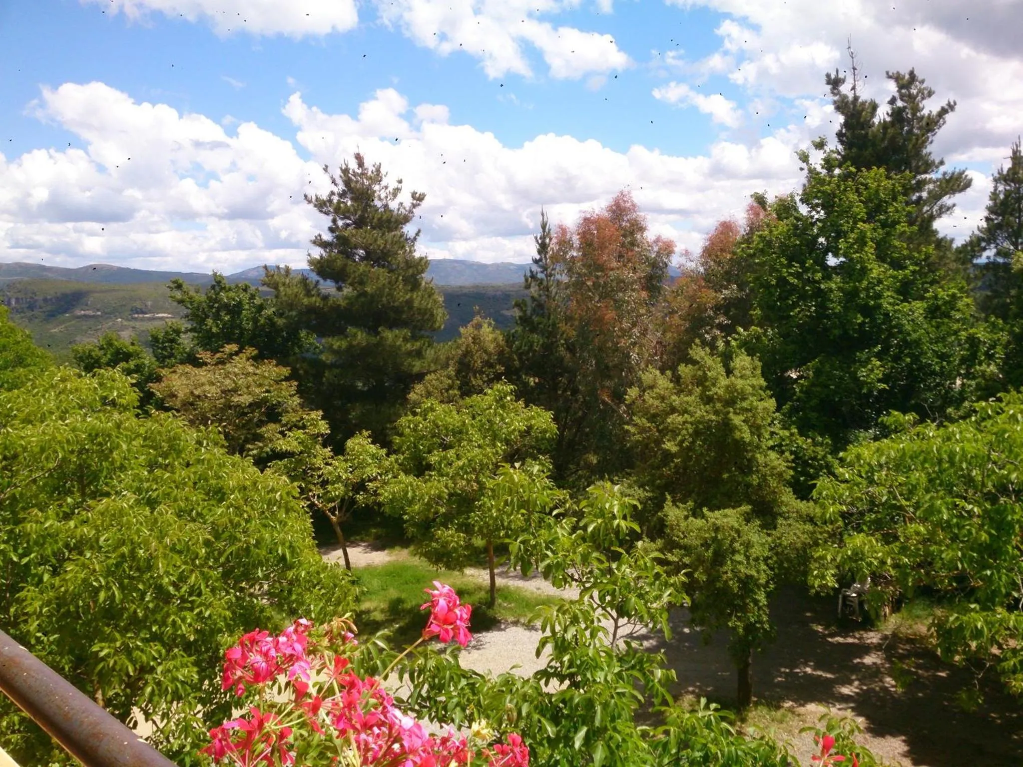 Restaurant/places to eat in Hotel Miramonti Seulo Turismo Rurale