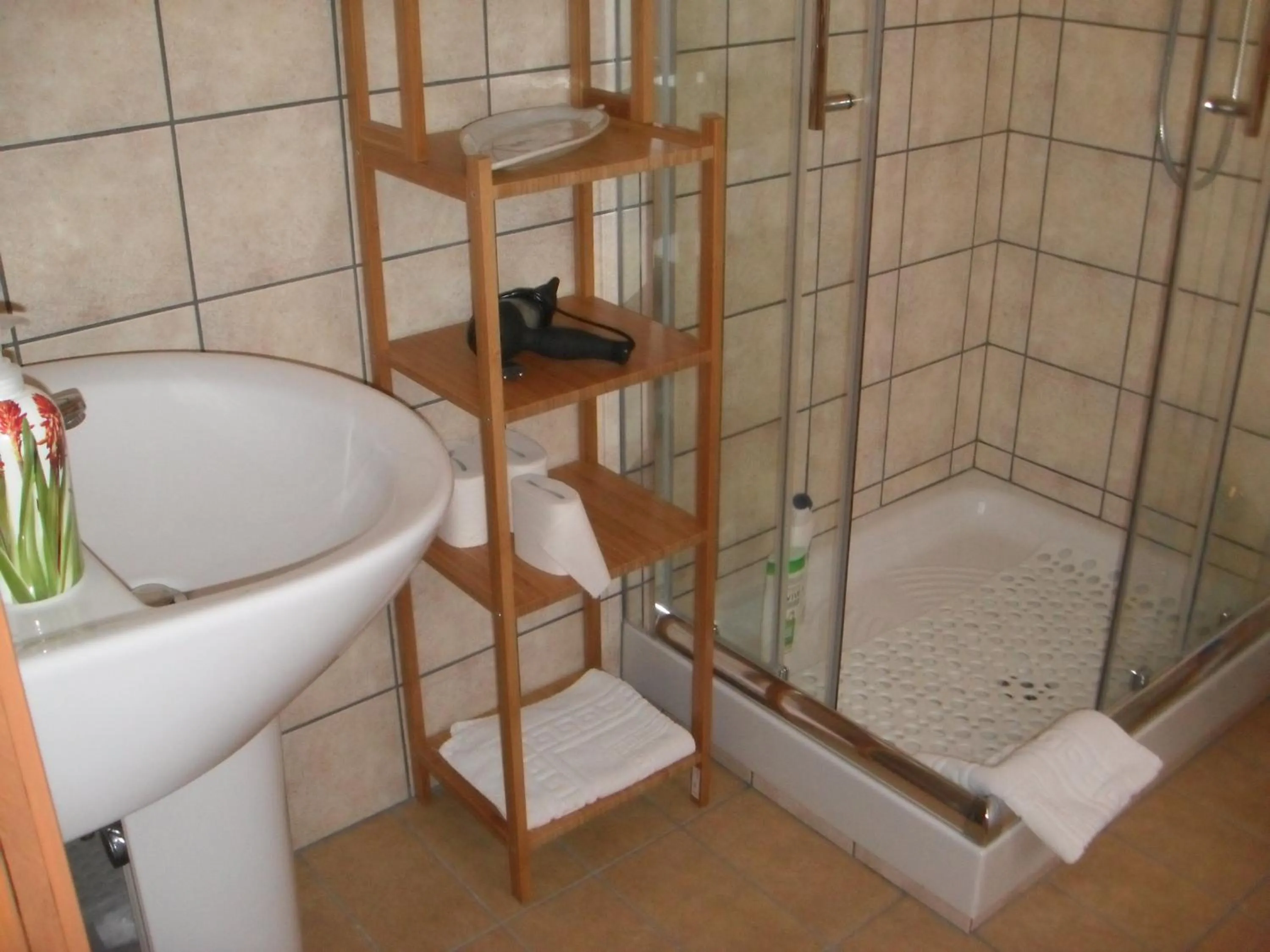 Shower in B&B Villa Claudia