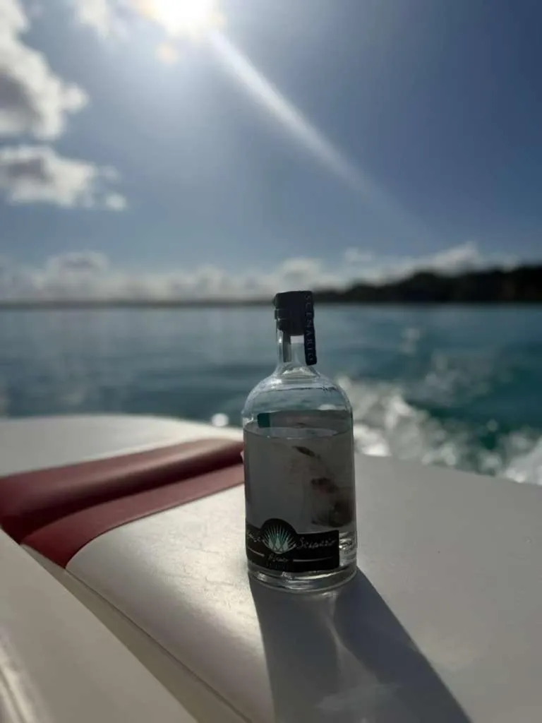 Hotel Alux x Over Blue