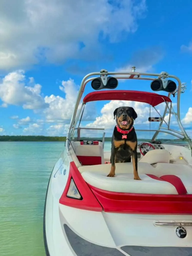 Hotel Alux x Over Blue