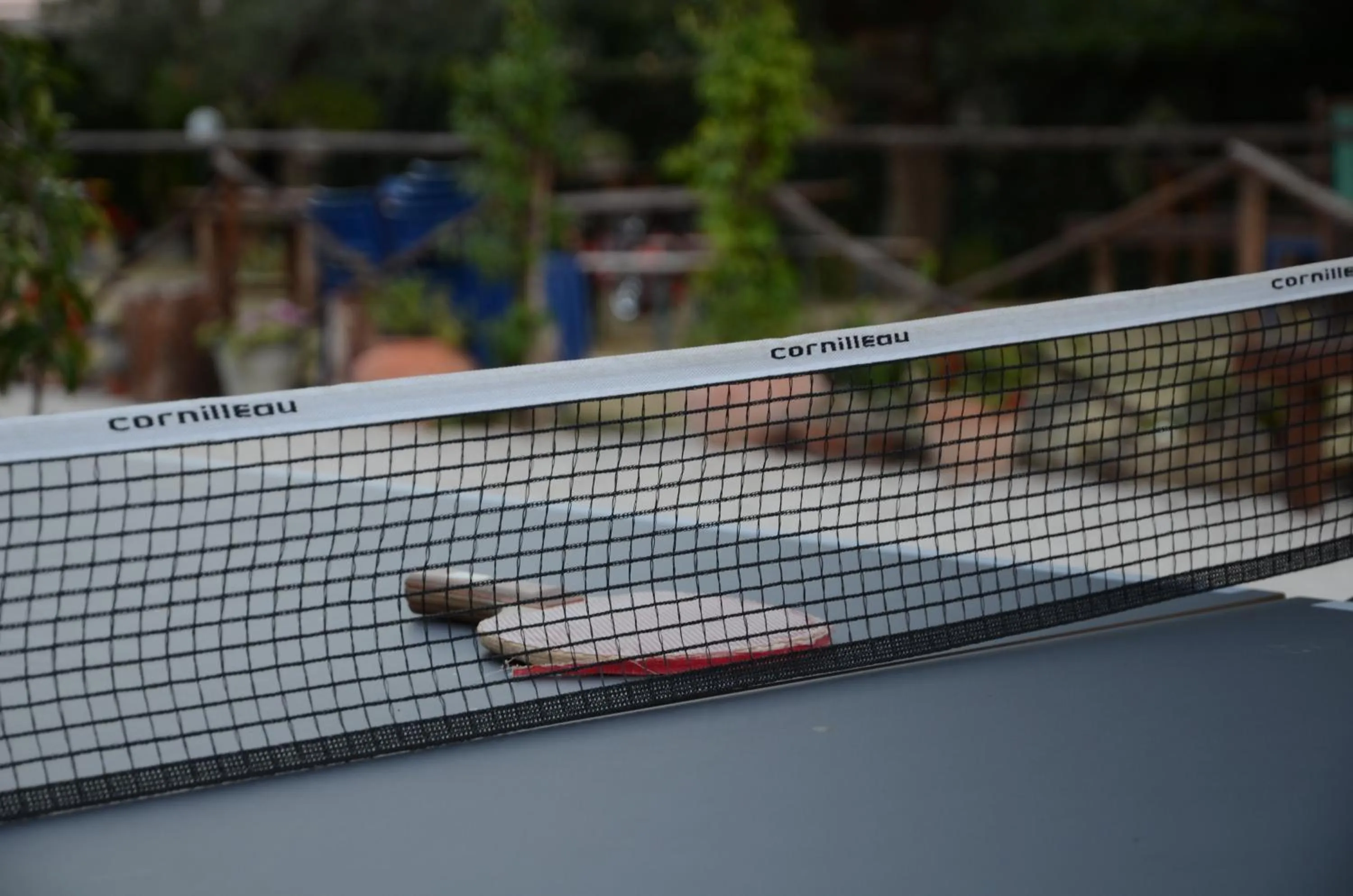 Property building in Il Vecchio Pioppo